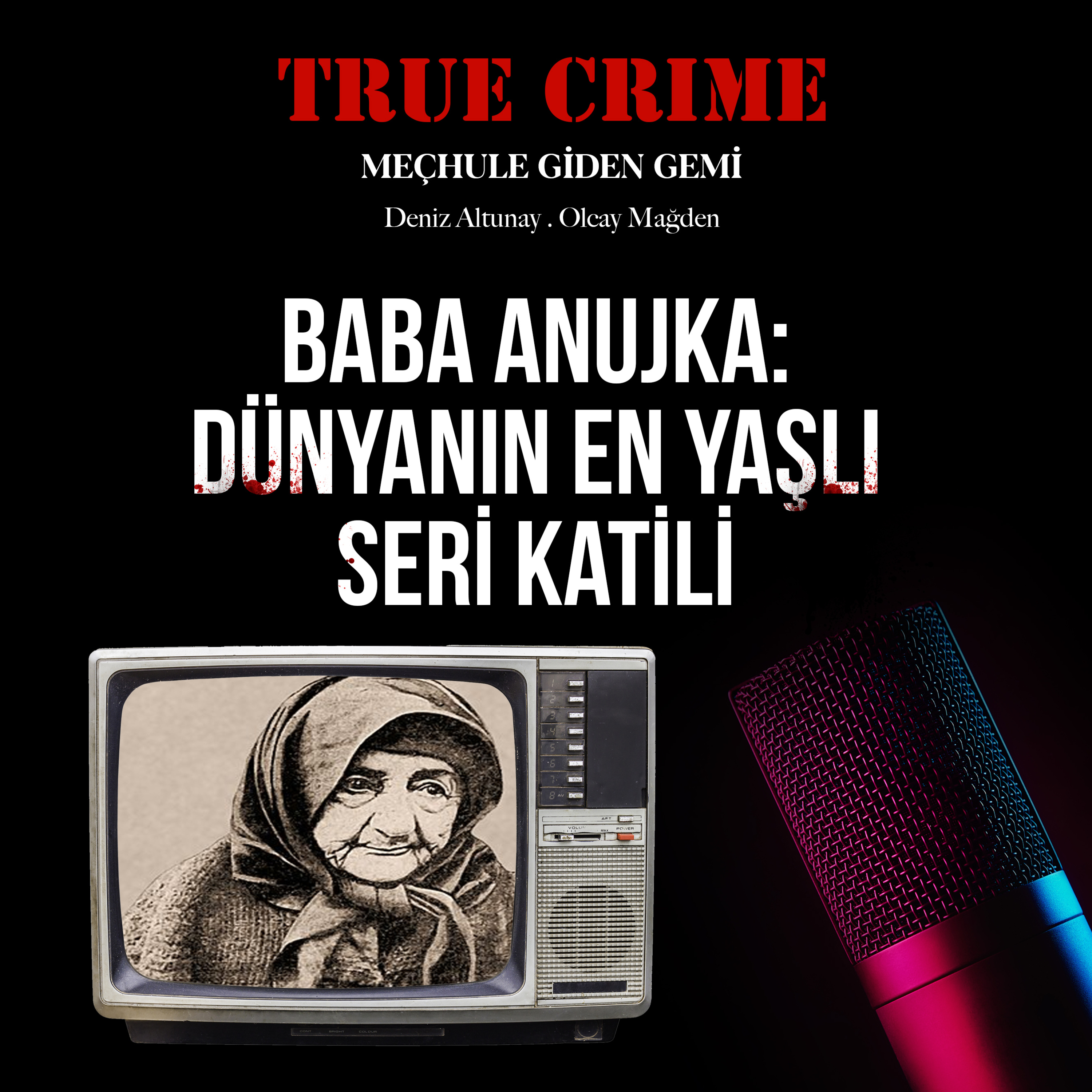 True Crime: Meçhule Giden Gemi