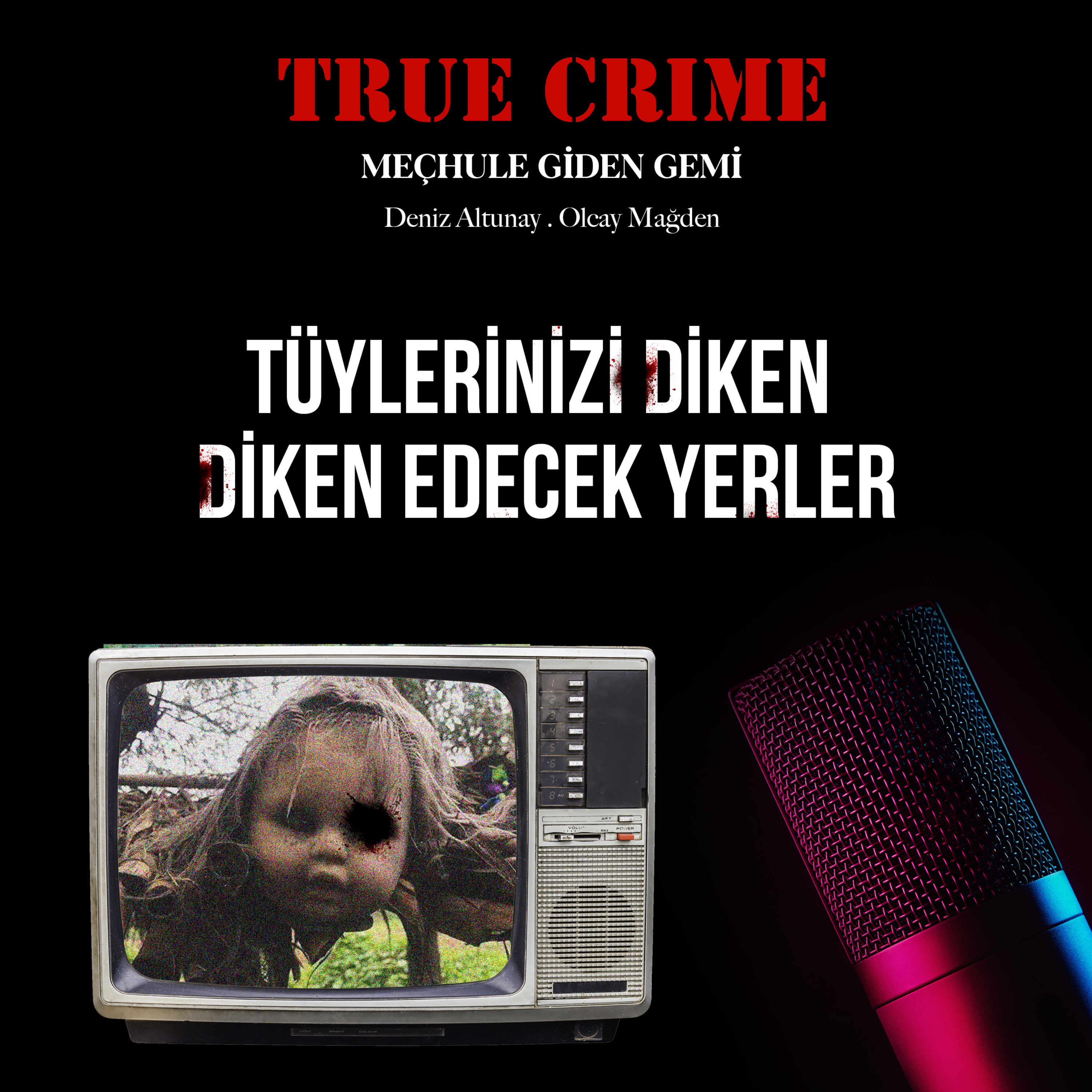 True Crime: Meçhule Giden Gemi