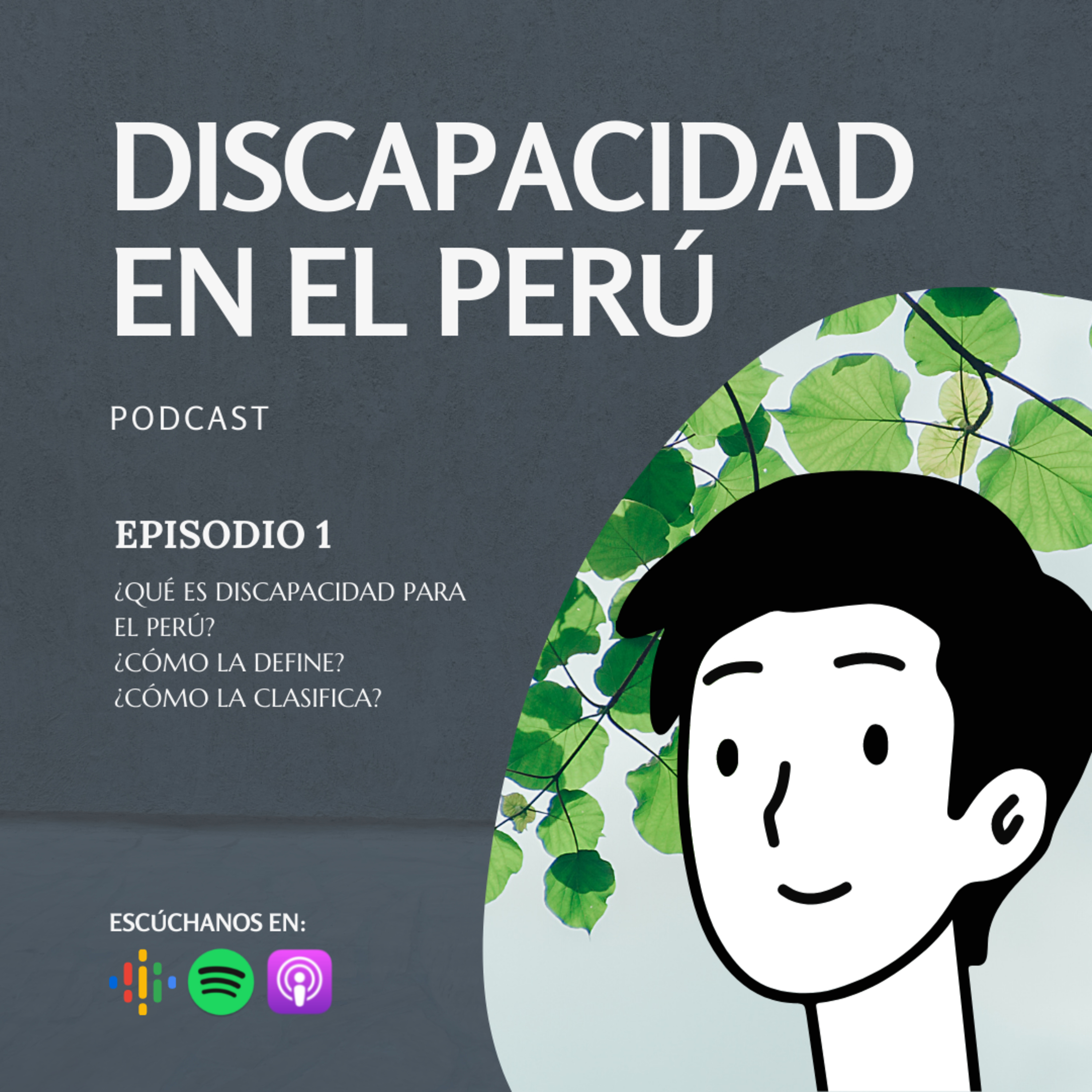 Discapacidad en el Perú episode artwork
