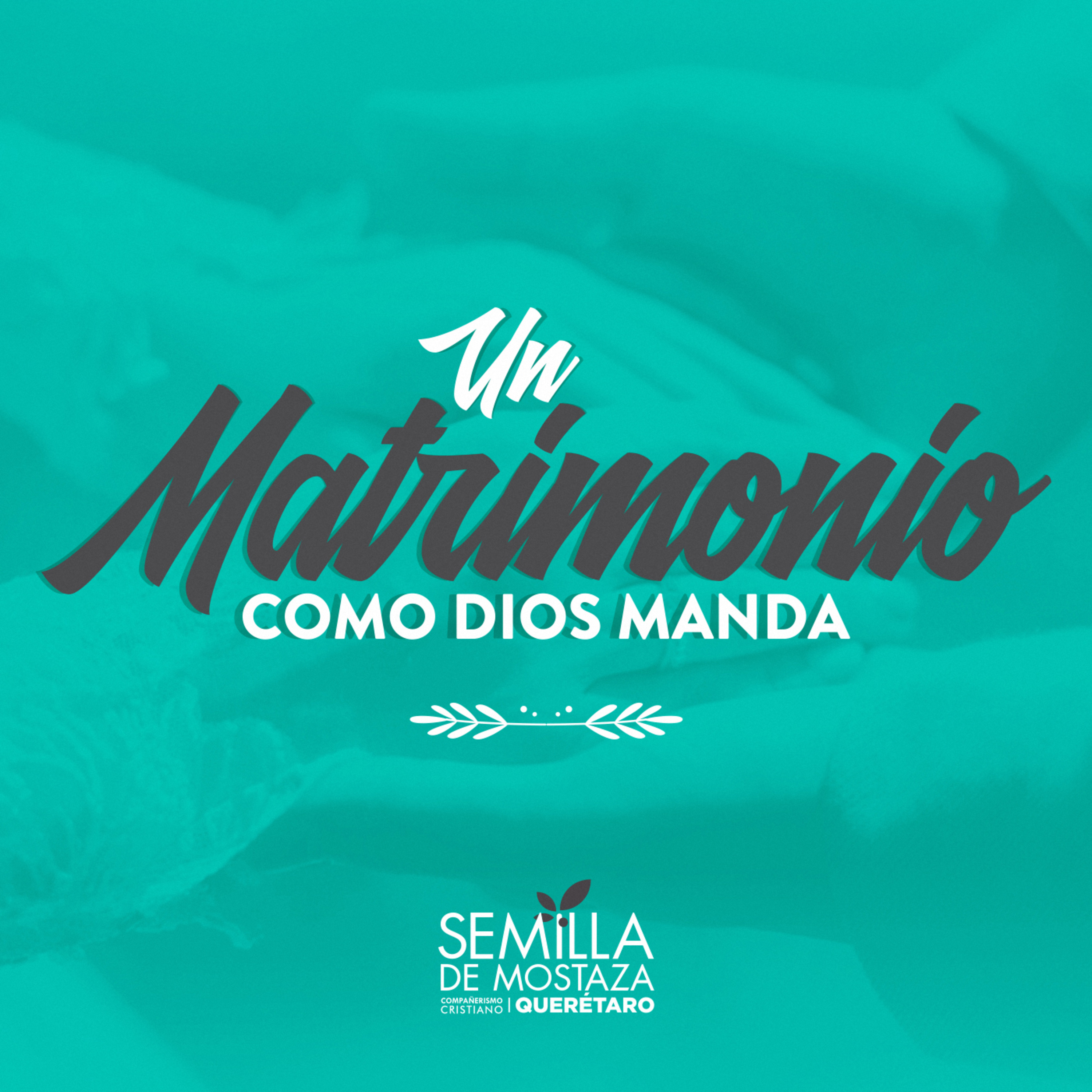 195 - Propósito - Un matrimonio como Dios manda episode artwork