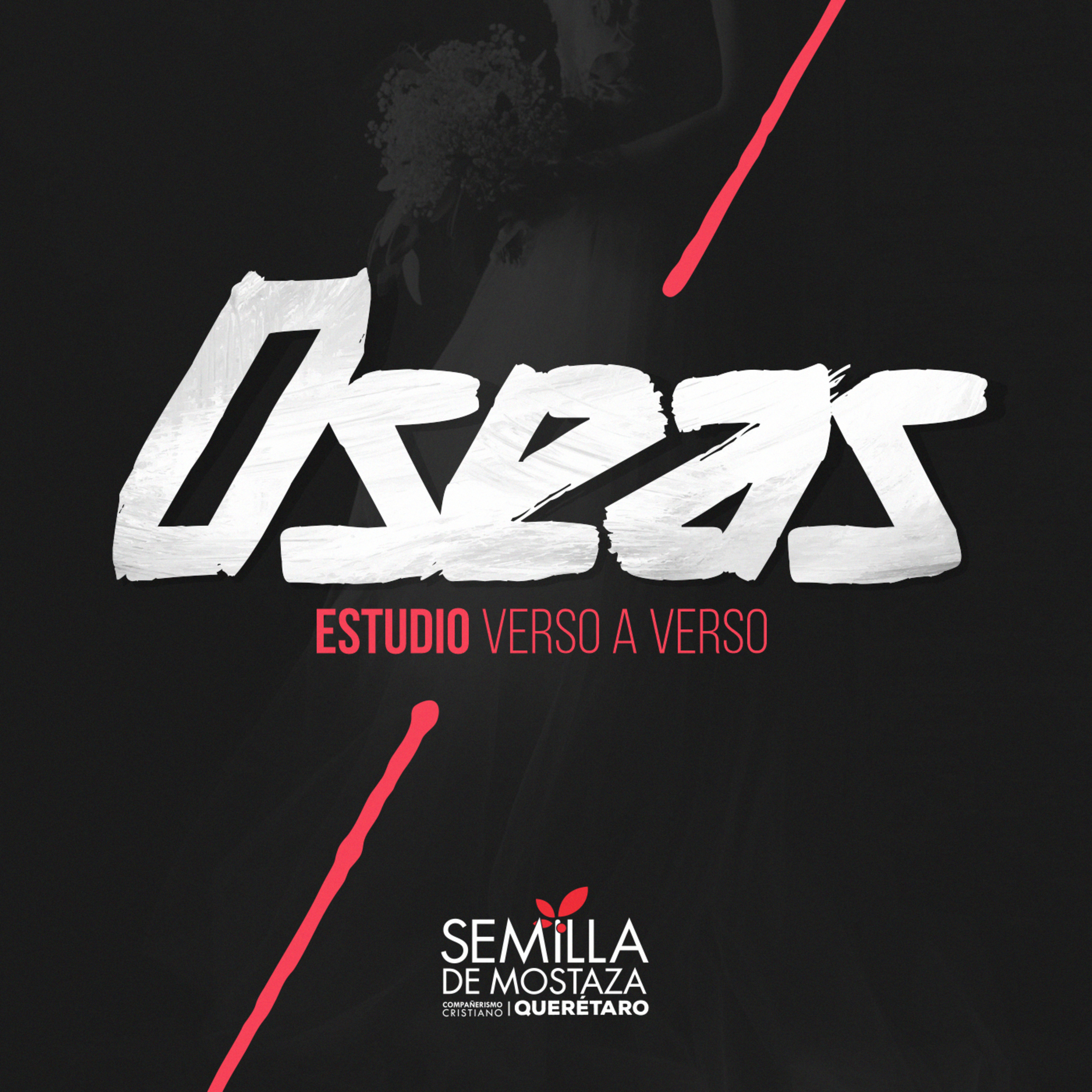 254 - Oseas 11 - El corazón de Dios episode artwork