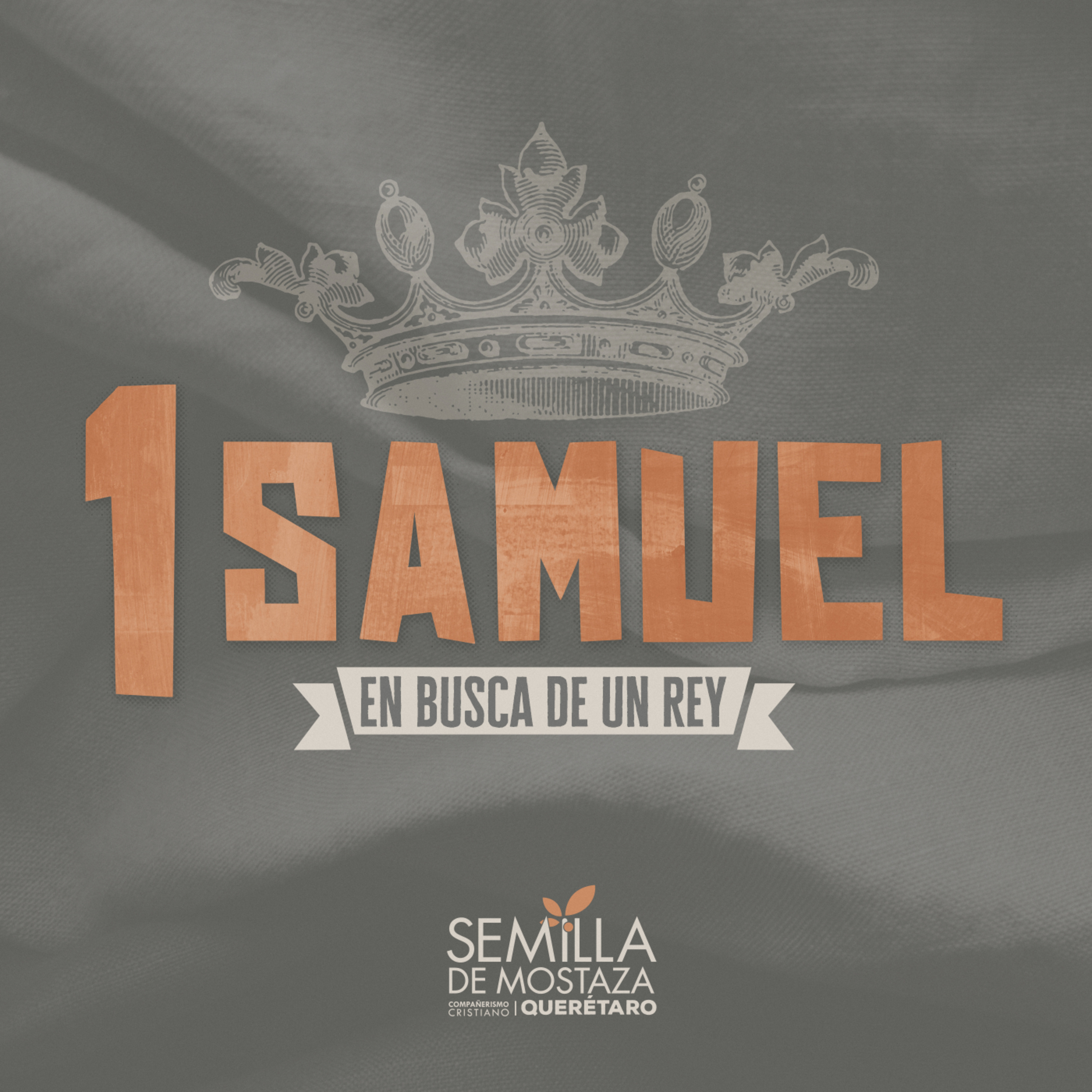 310 - 1 Samuel 24 - David contra David episode artwork
