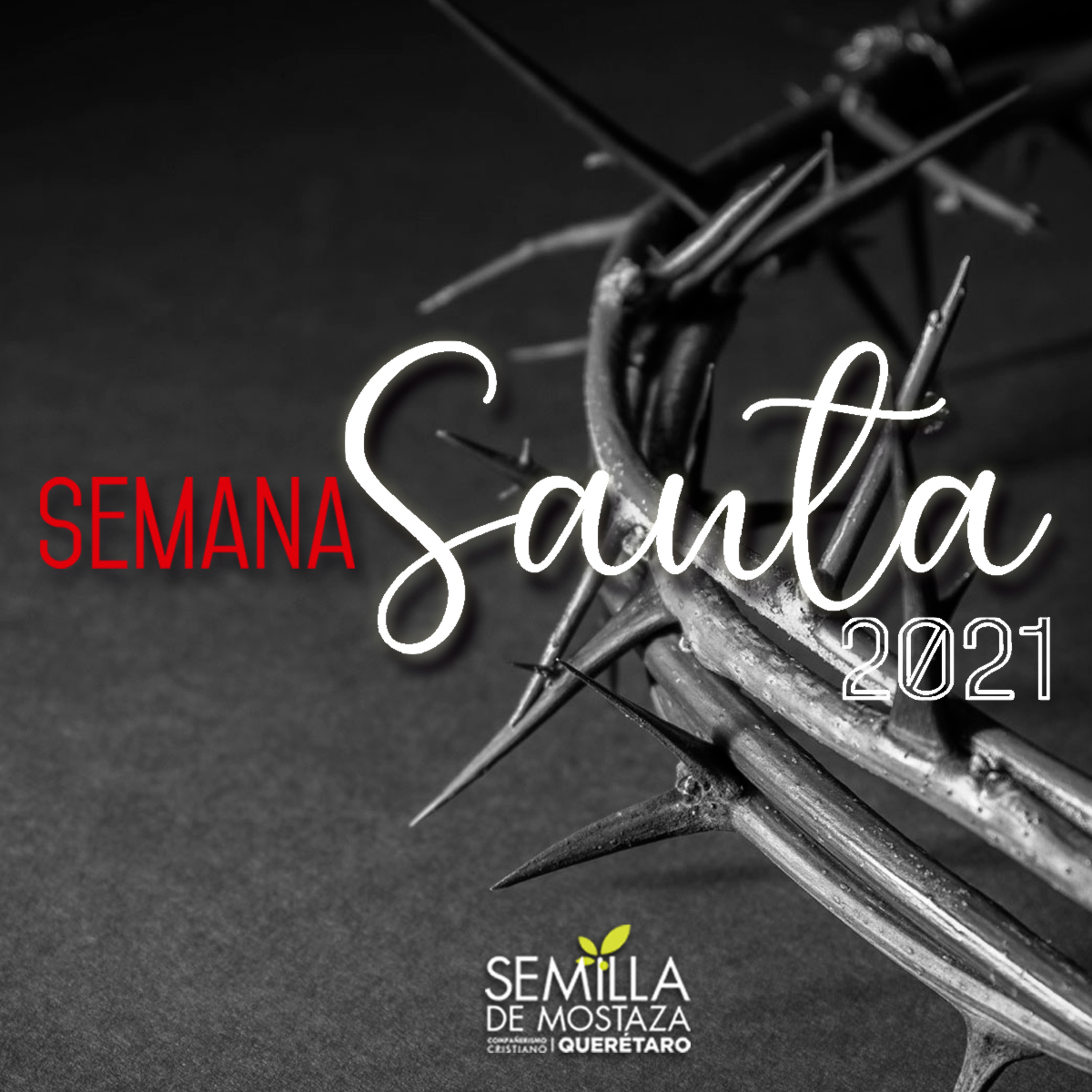 346 - SEMANA SANTA 2021: Marcos 15/Salmo 22 - La crucifixión episode artwork