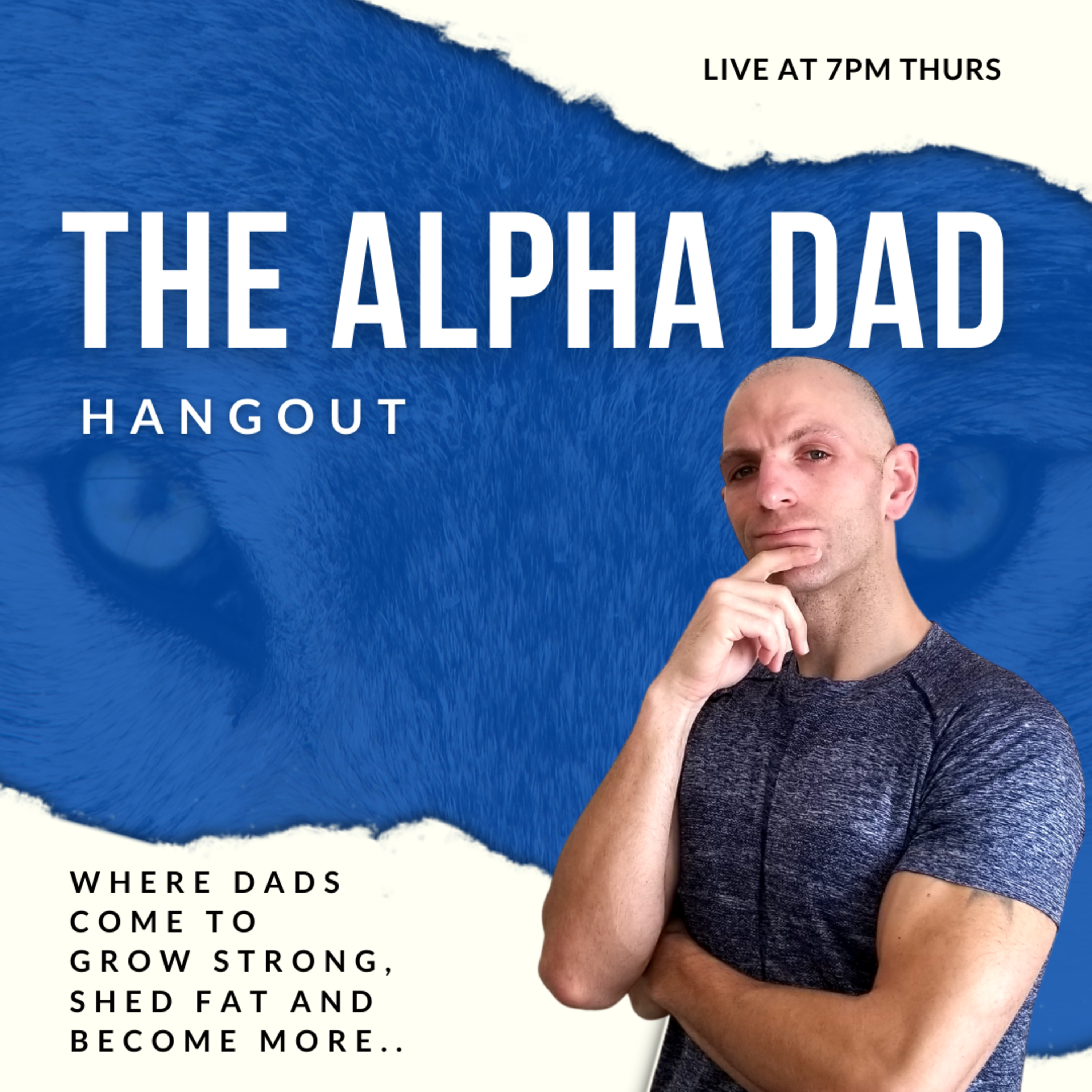 Part 1: Rise of the Dad Bod episode artwork