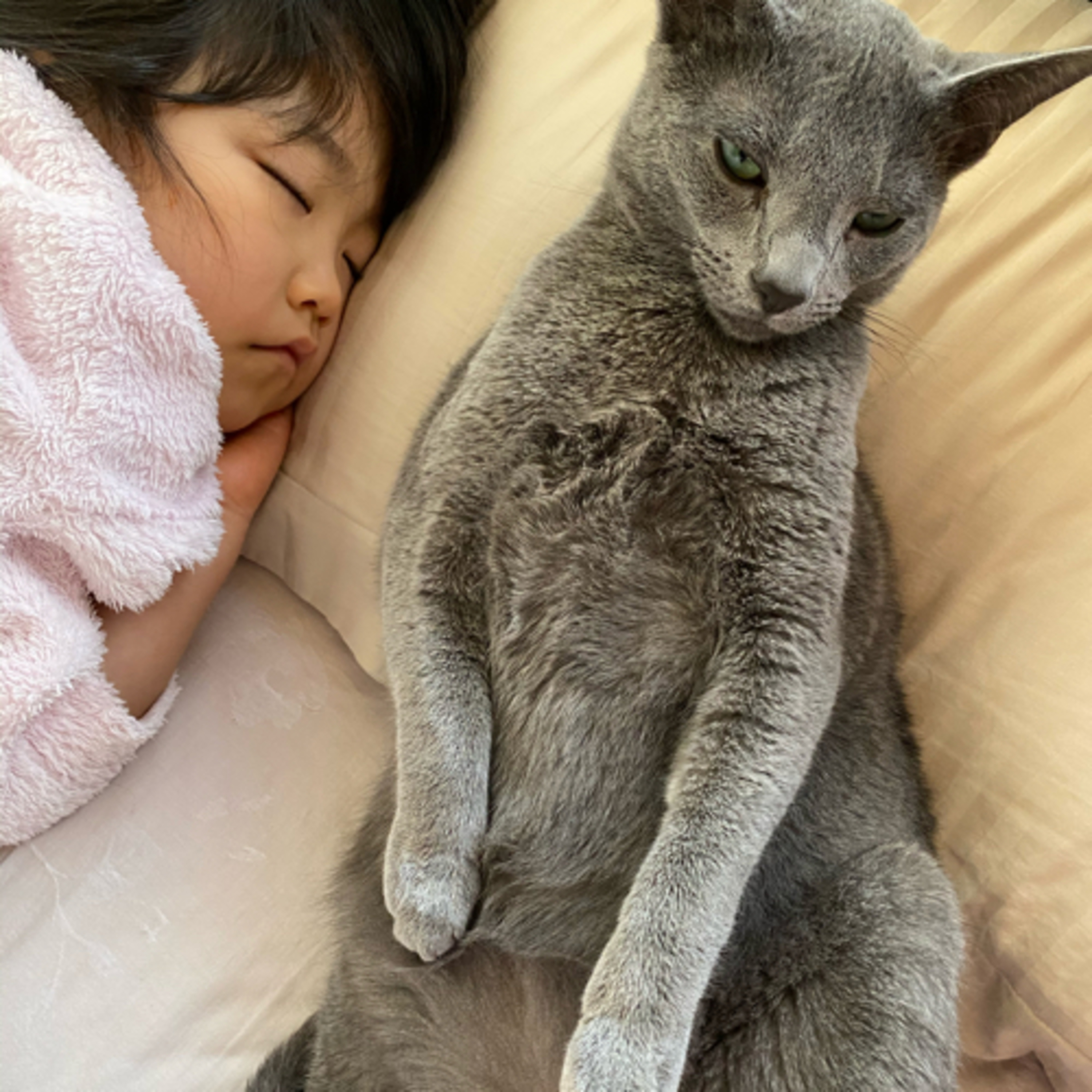 👩あなたが情報発信する目的って何？そこに責任をどのくらい持ててる？やりたいことが本気であればある程しっかり考えたいこと。 episode artwork