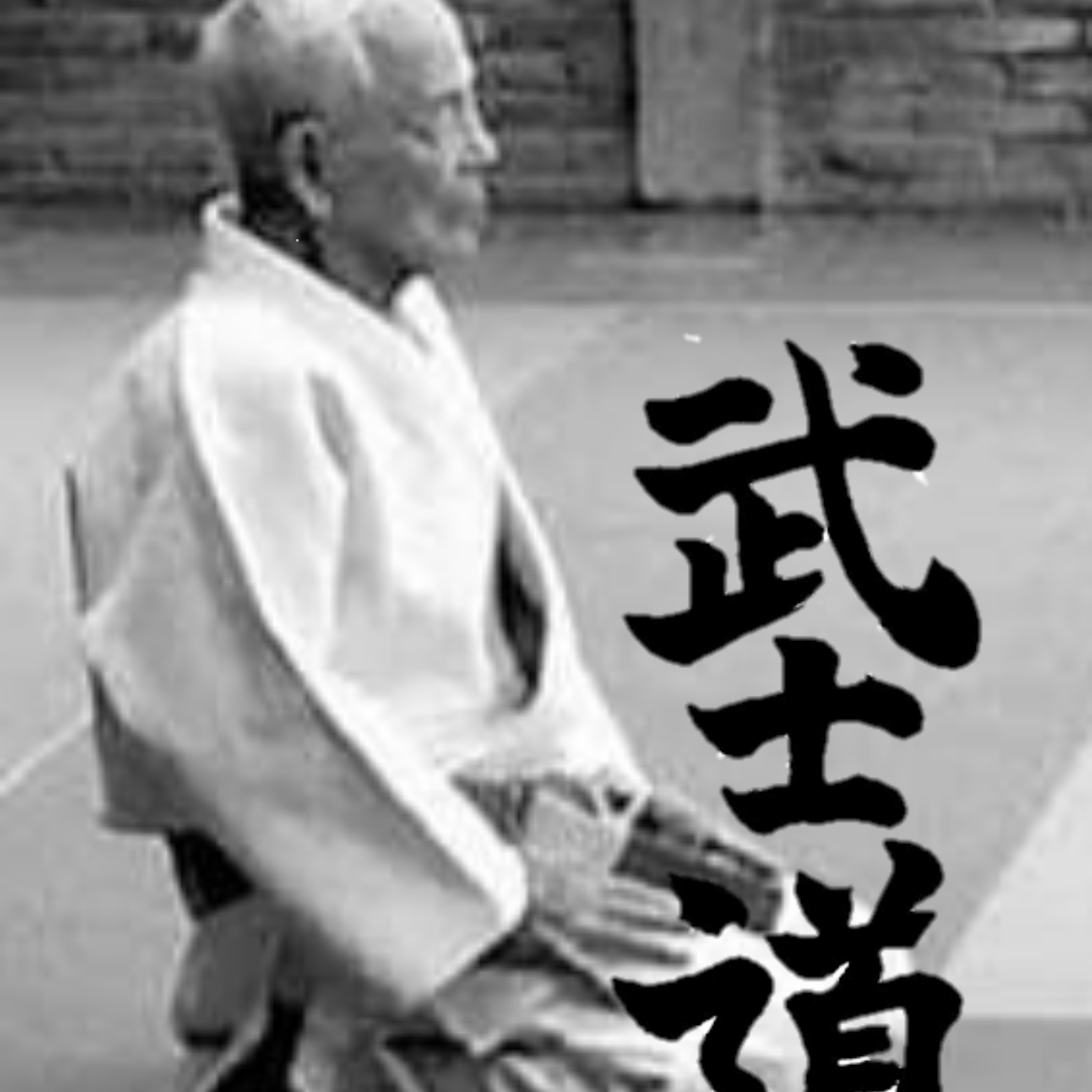 El Código del Bushido episode artwork