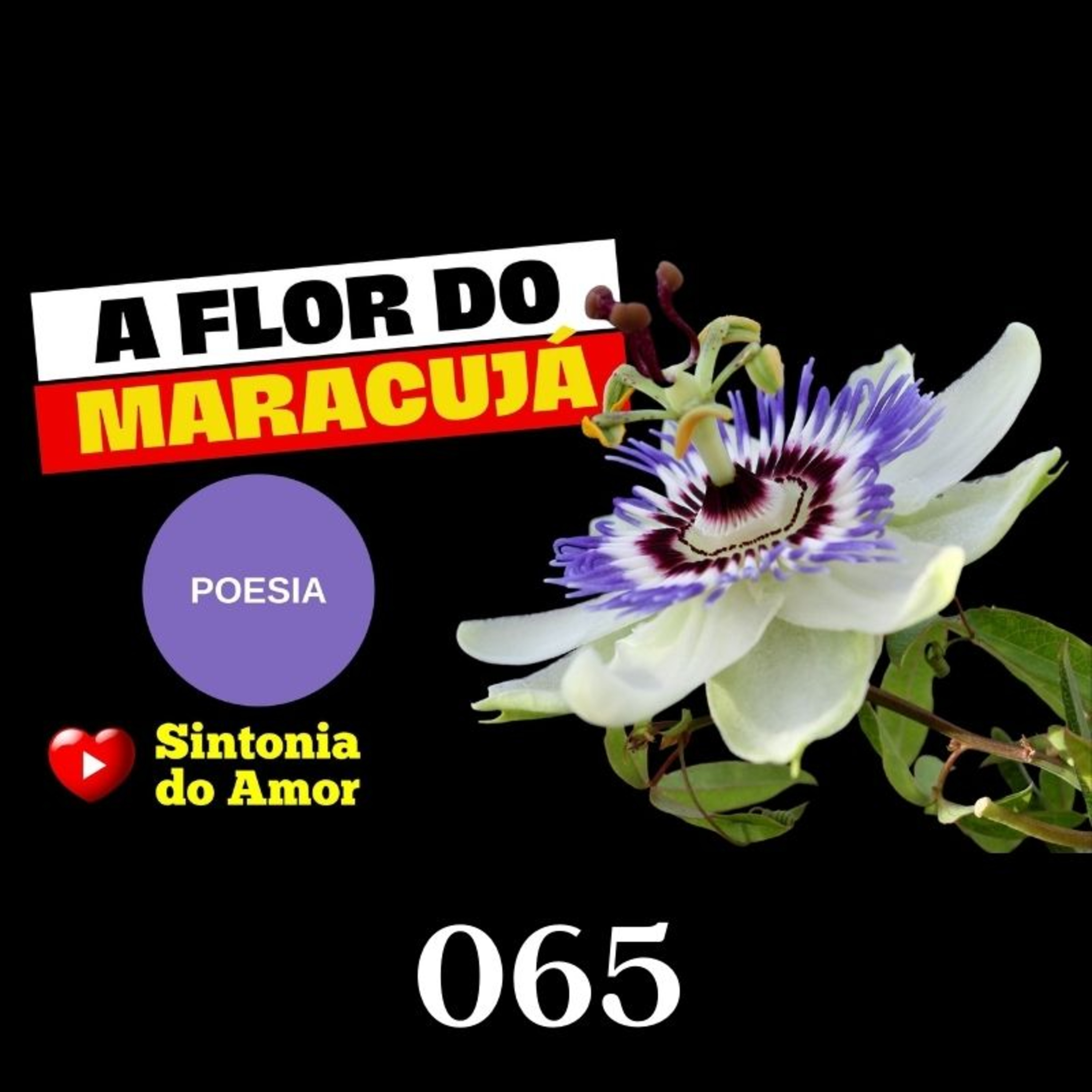 Sintonia do Amor