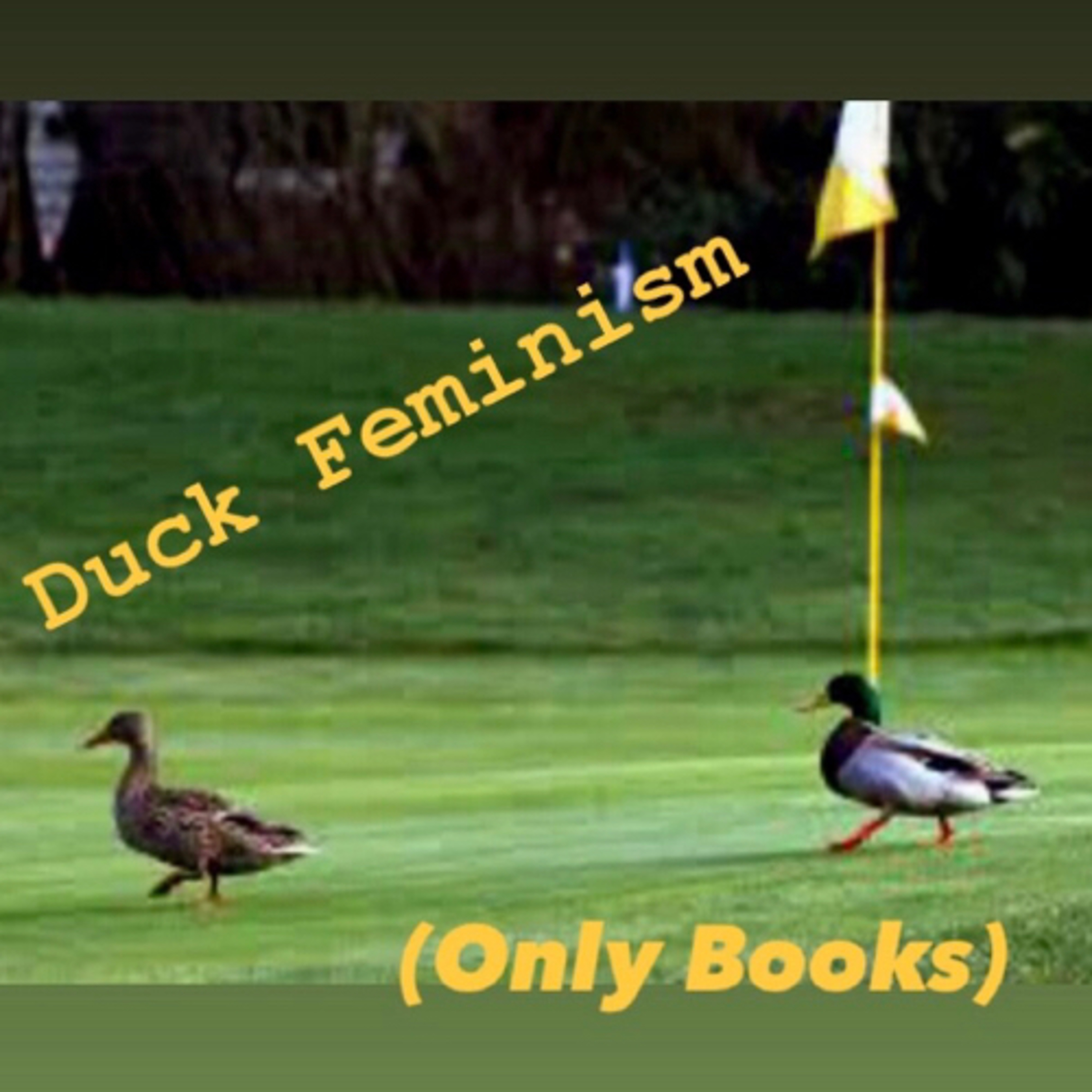 An Interview with Jacob Moon, the Author of “Duck Island”  episode artwork