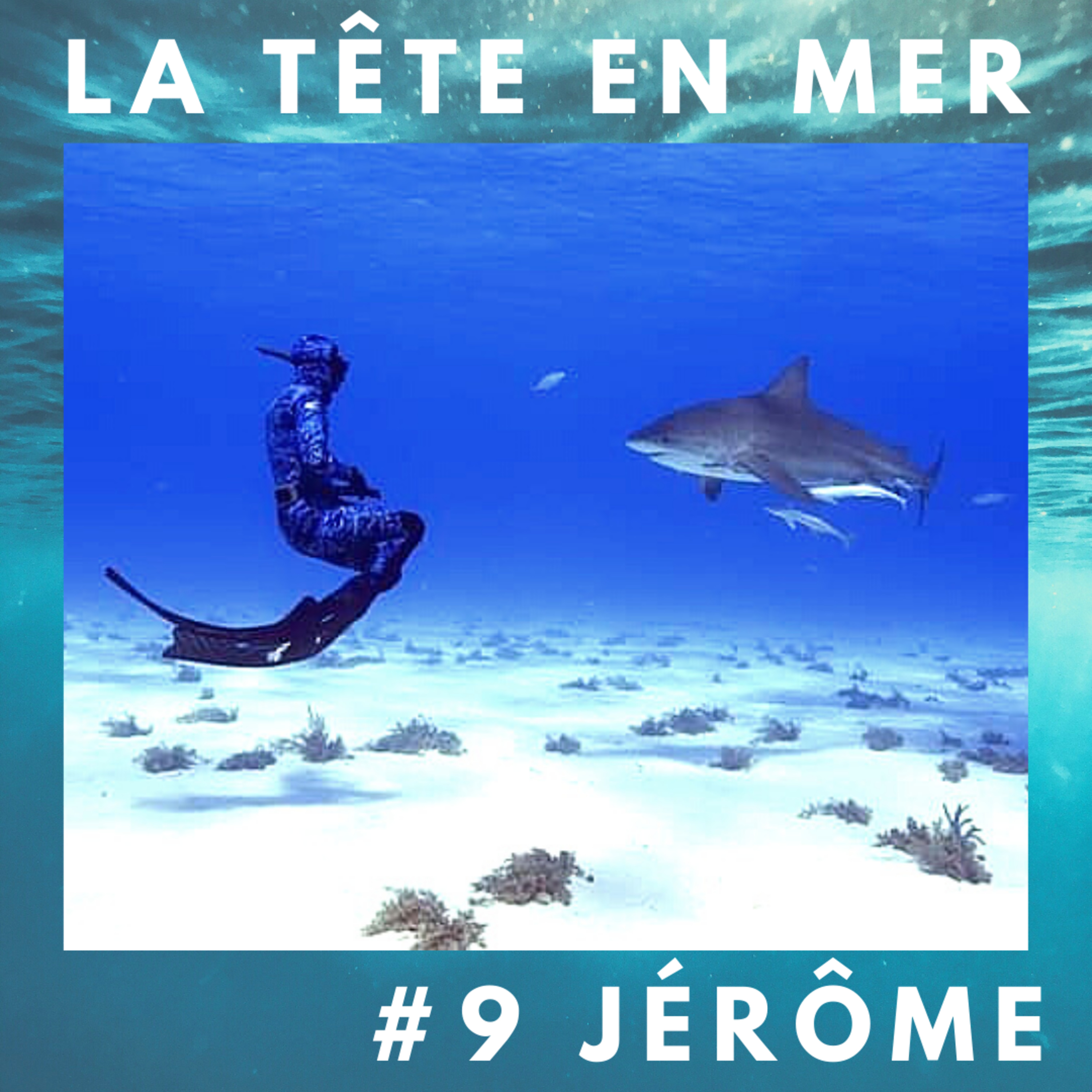 La tête en mer