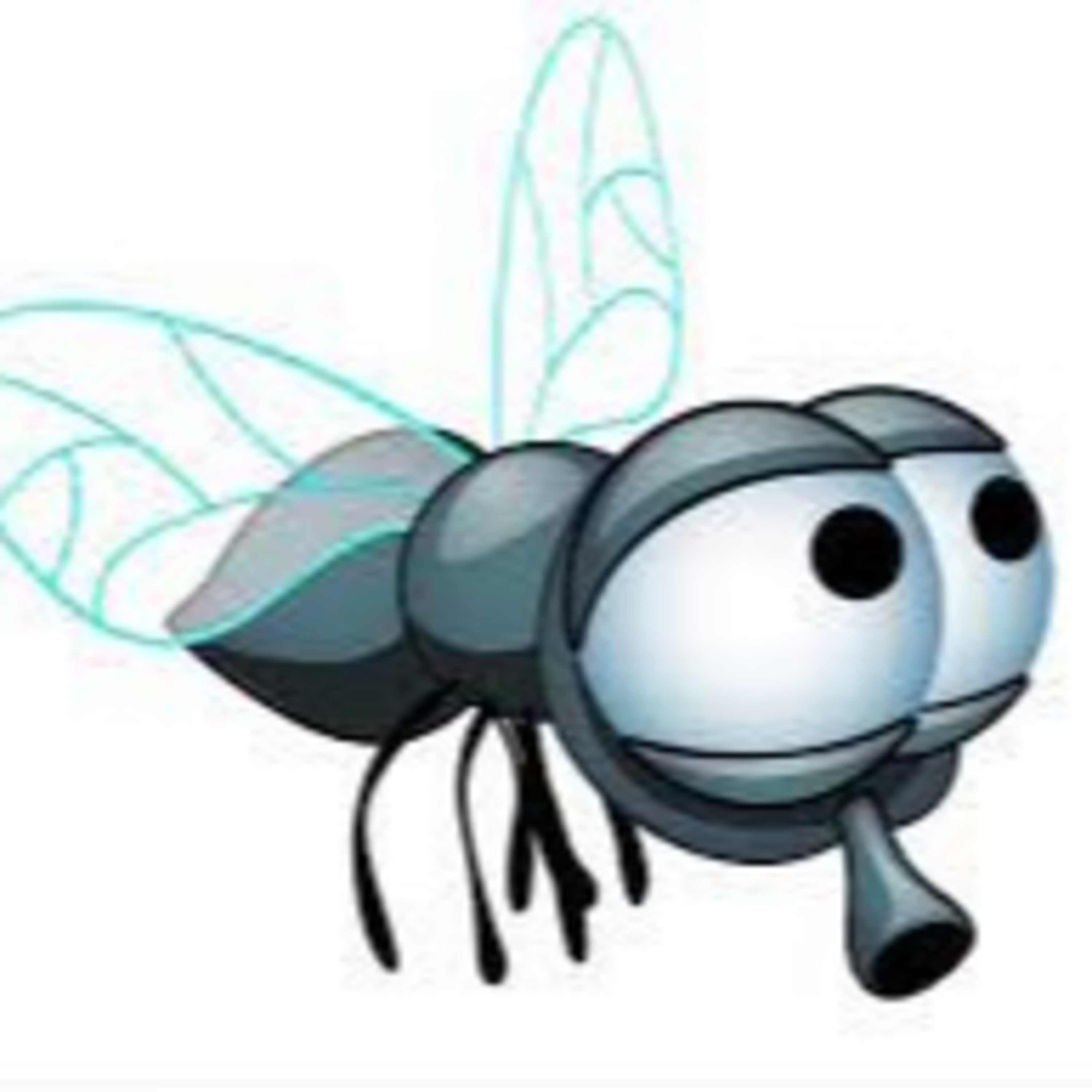 When Is a Fly Not a Fly? episode artwork