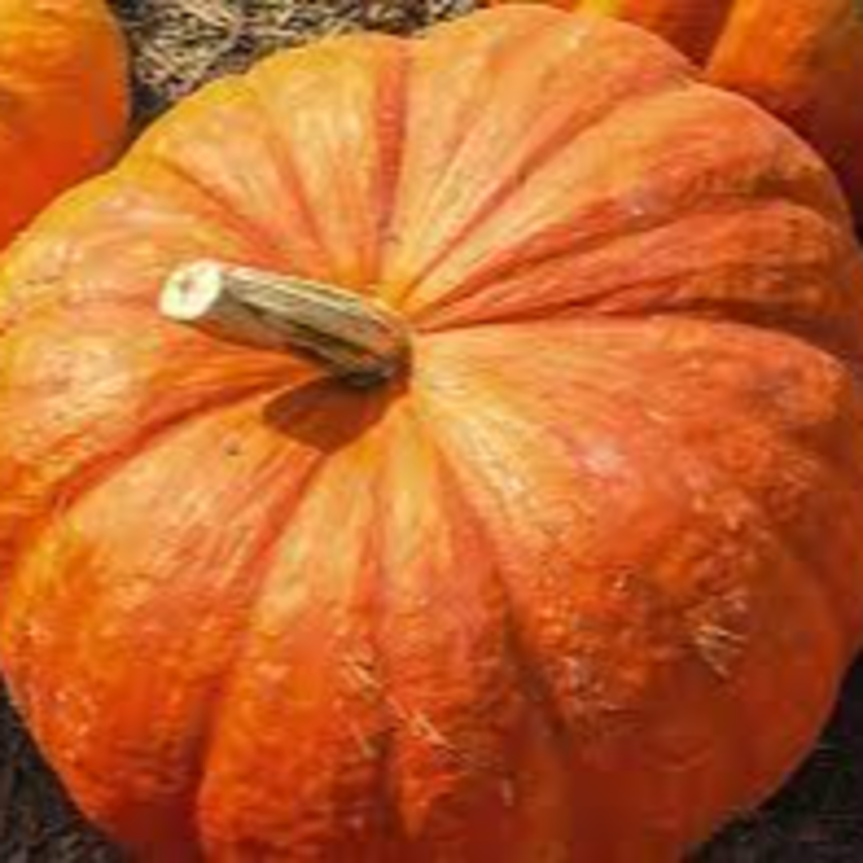 Fun Facts About Pumpkins episode artwork