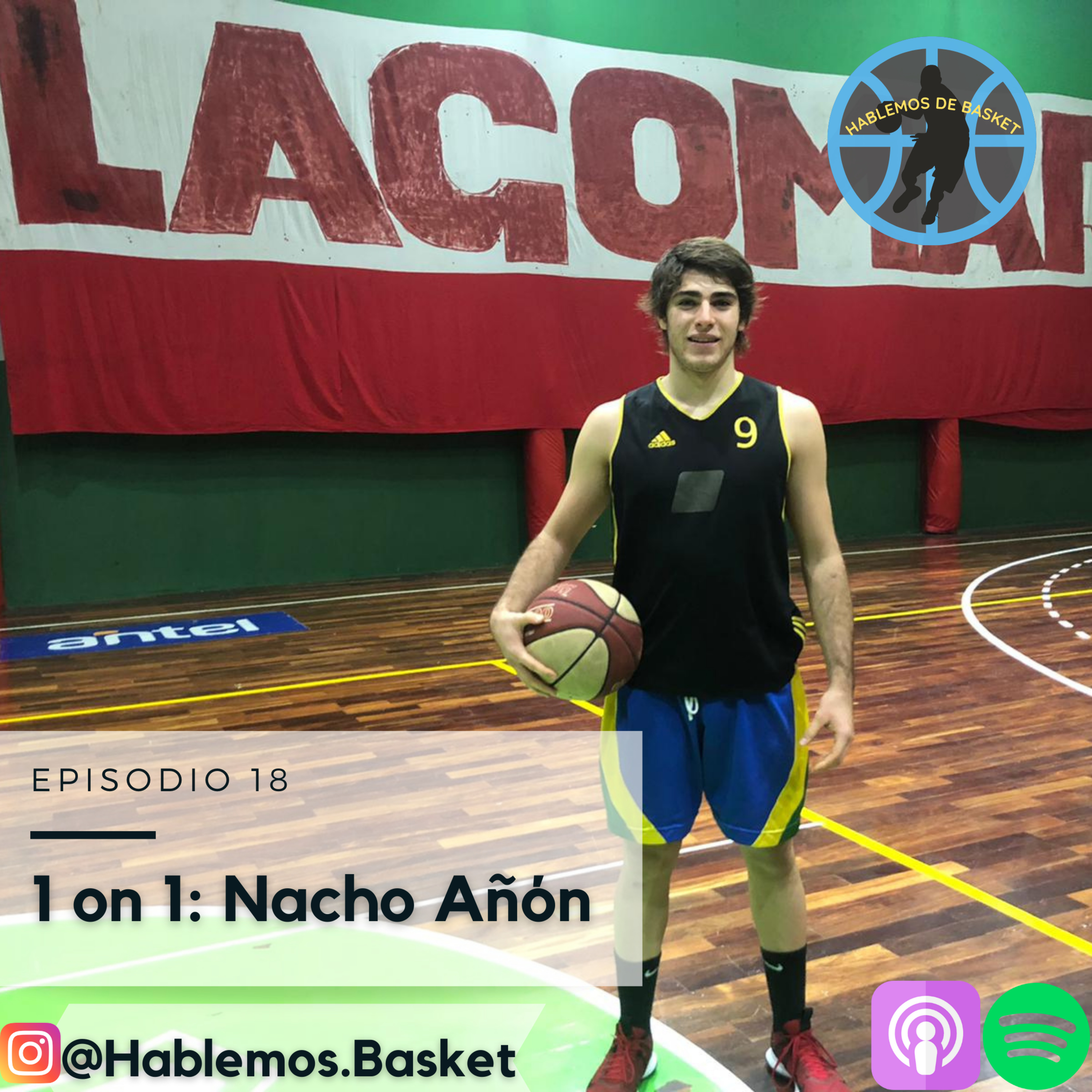 Hablemos de Basket
