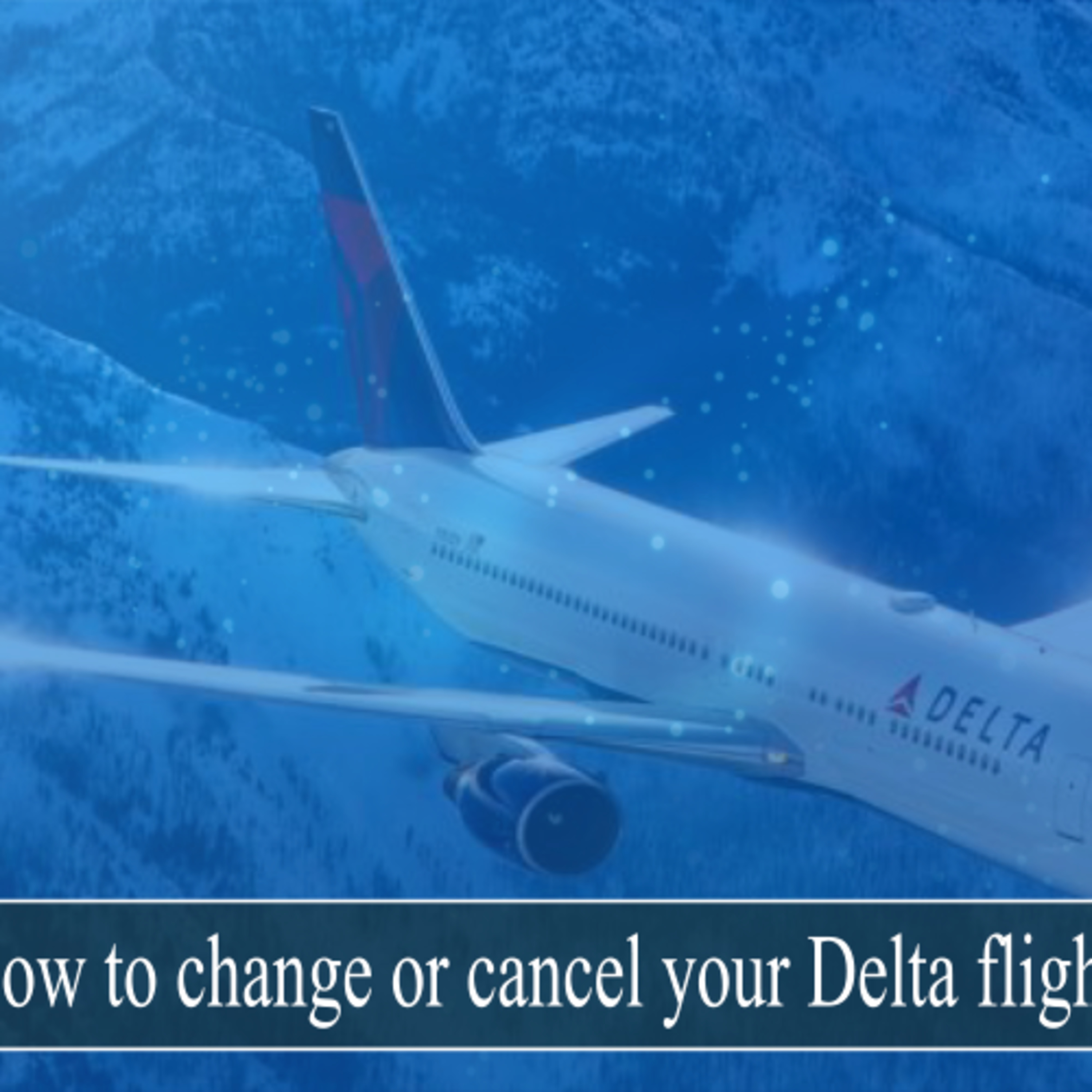 Airlines Reservations Help