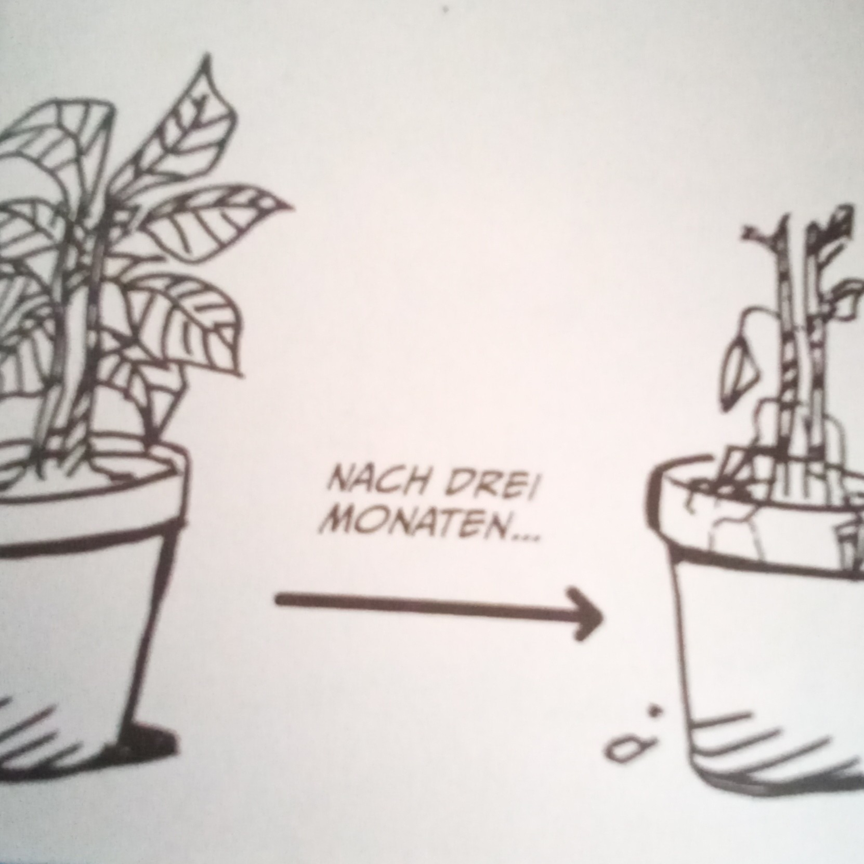 Napodan- Ein Naruto und vieles mehr Analyse Podcast