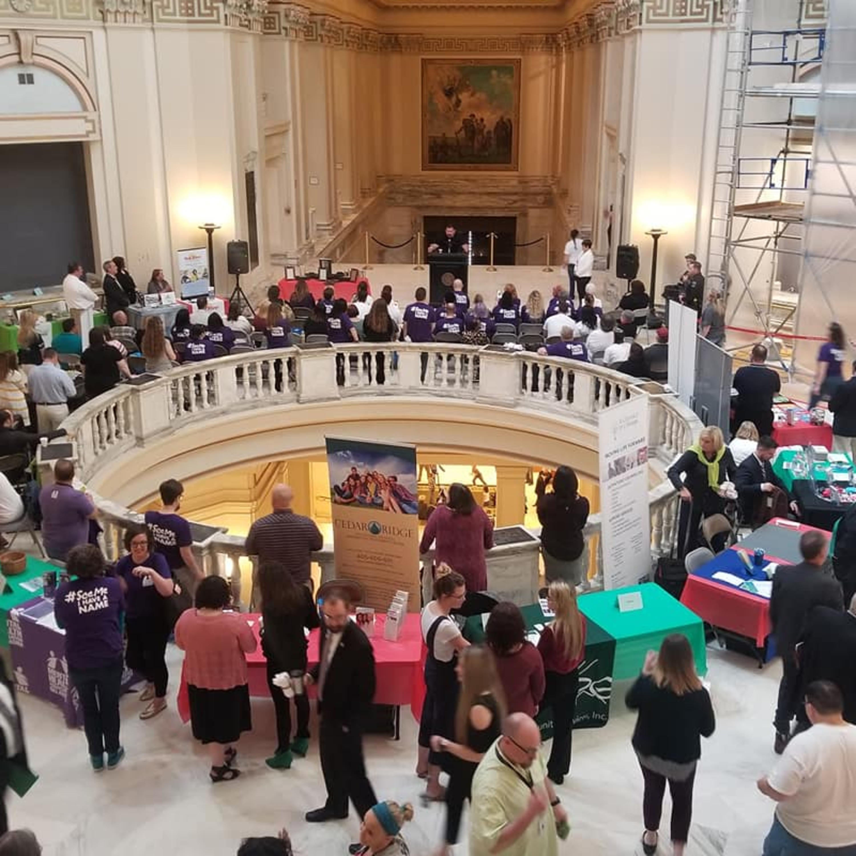 Mental Health Download: Exploring Mental Illness, Suicide, Homelessness and Incarceration - Highlights from the My Mind Matters Rally at the Capitol