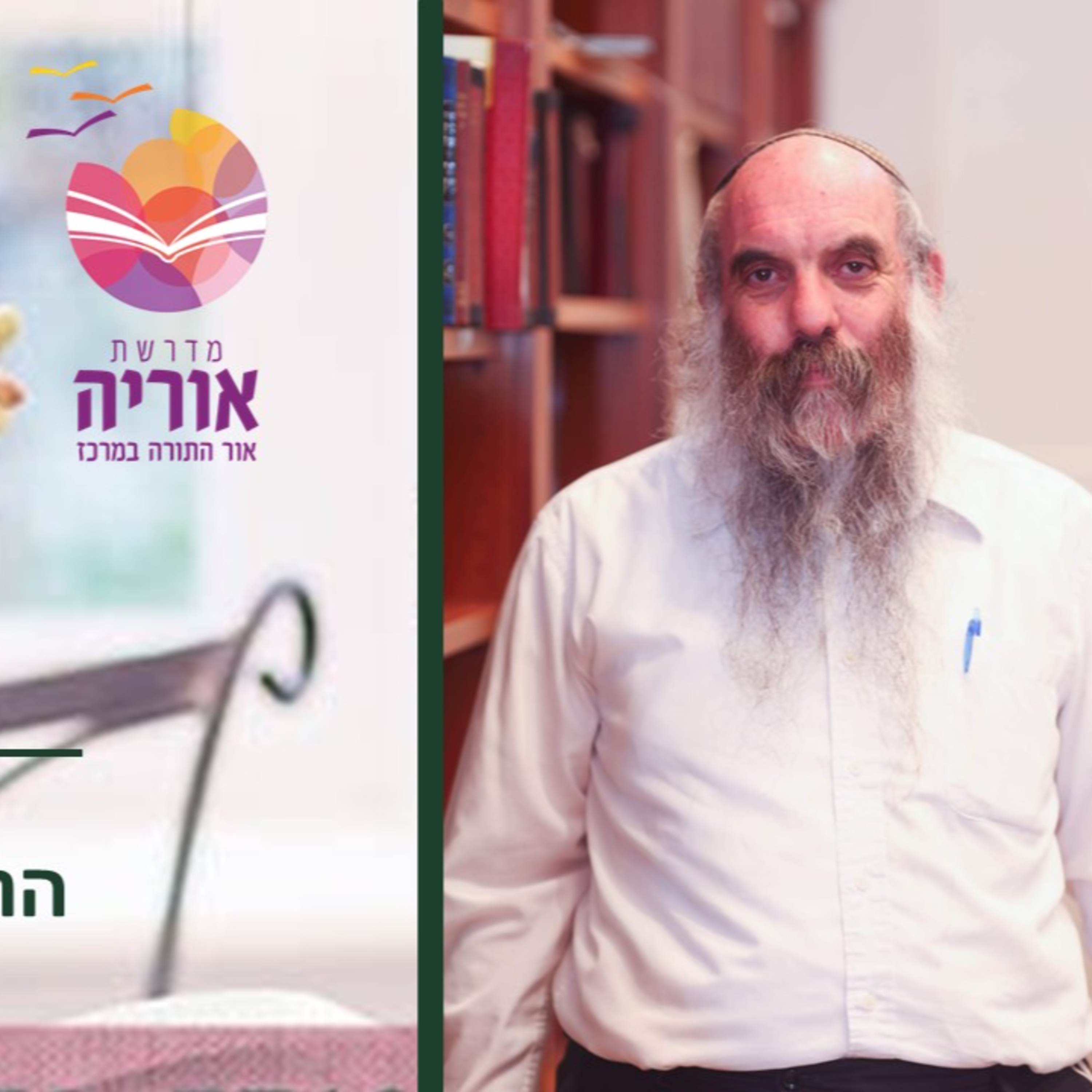 הרב יהושע שפירא- אוהבי ה' שנאו רע- היחס לרפורמים- חינוך בדור סוער, שיעור 15 episode artwork