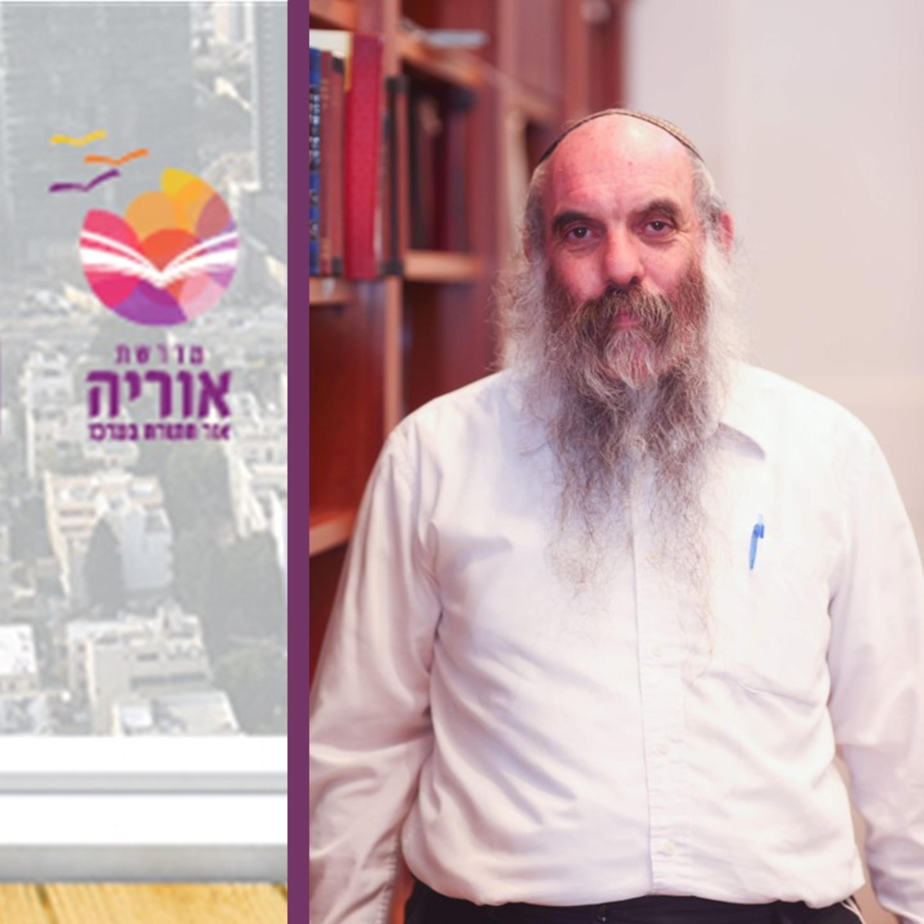 הרב יהושע שפירא, המהפך מגלות לגאולה- בחבלי משיח, שיעור 6 episode artwork