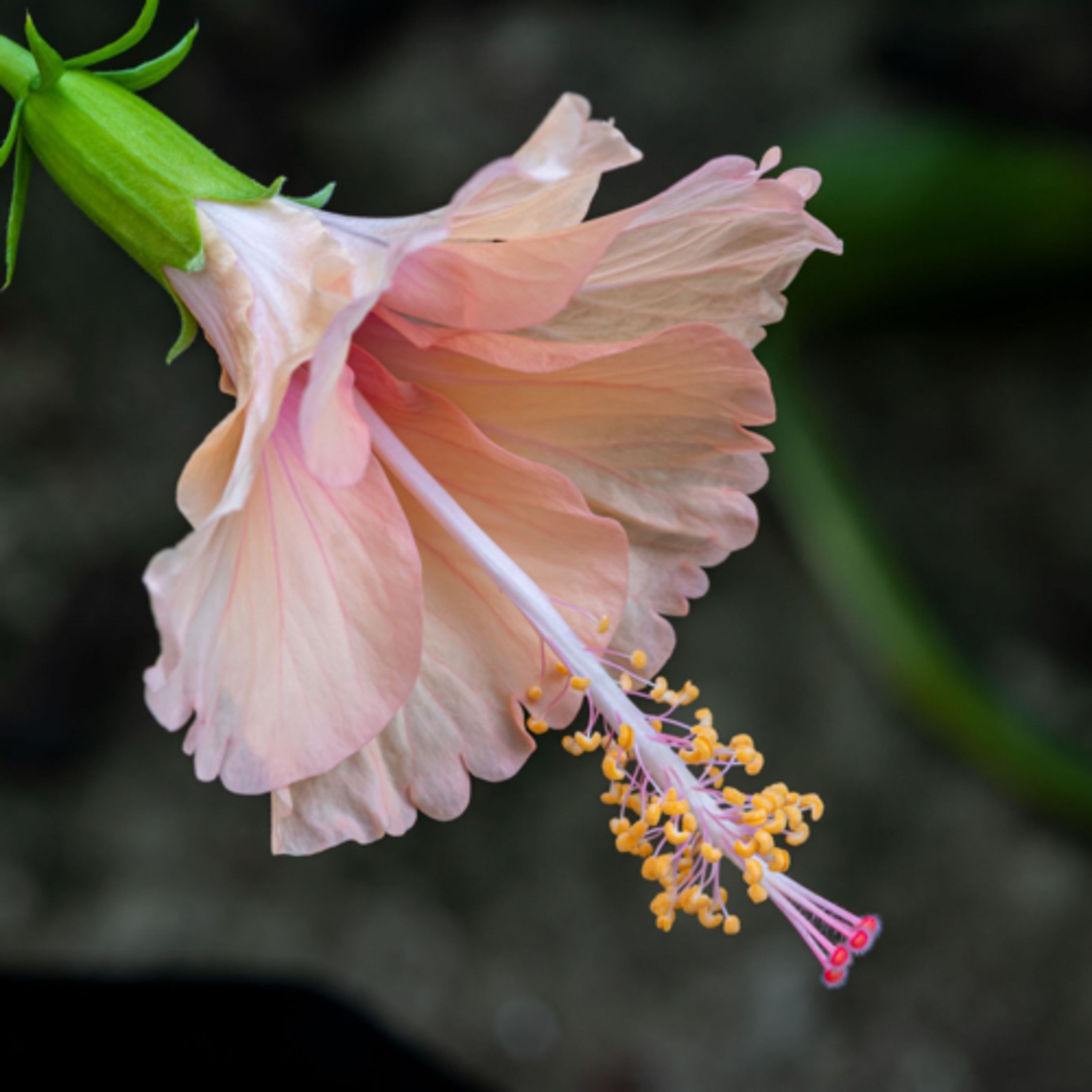 Jeremiah 20 – Praise The Lord episode artwork