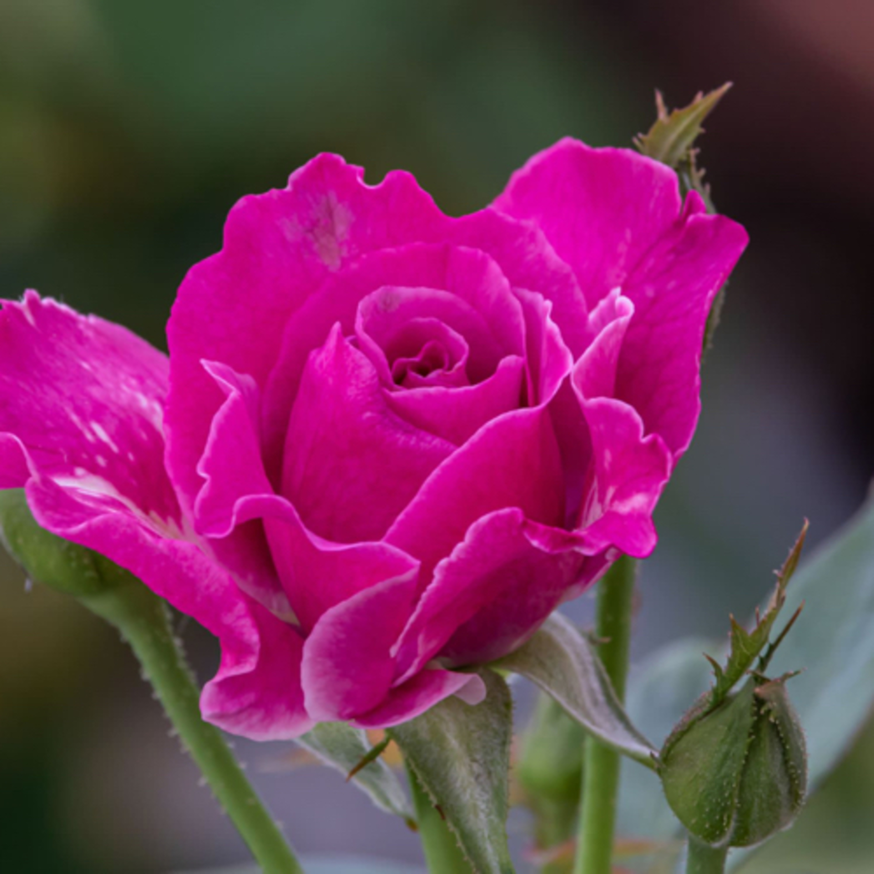 Ezekiel 47 – Come Living Water episode artwork
