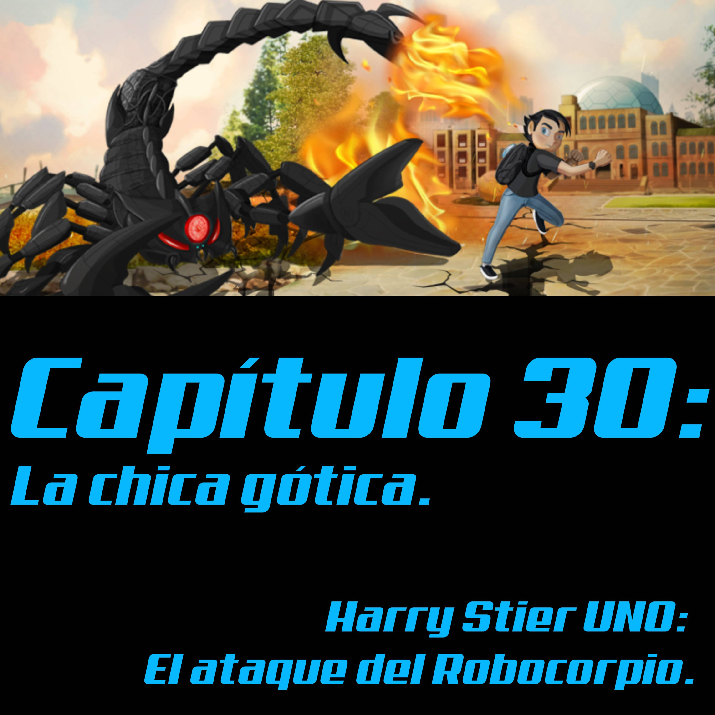 Harry Stier Saga