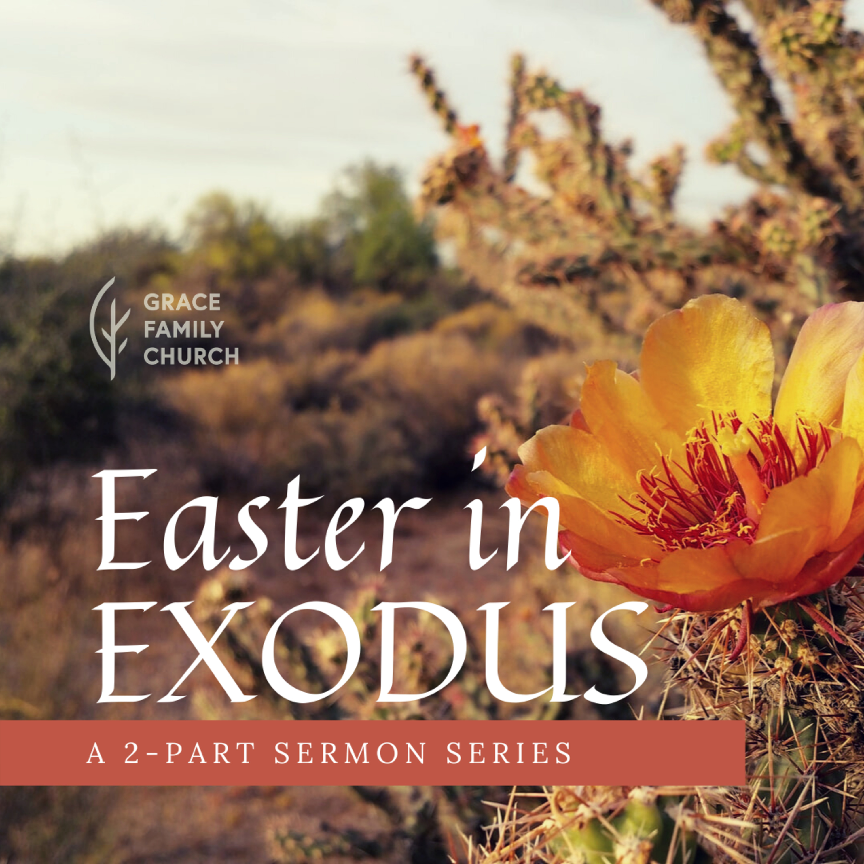 Grace Family Church Sermons