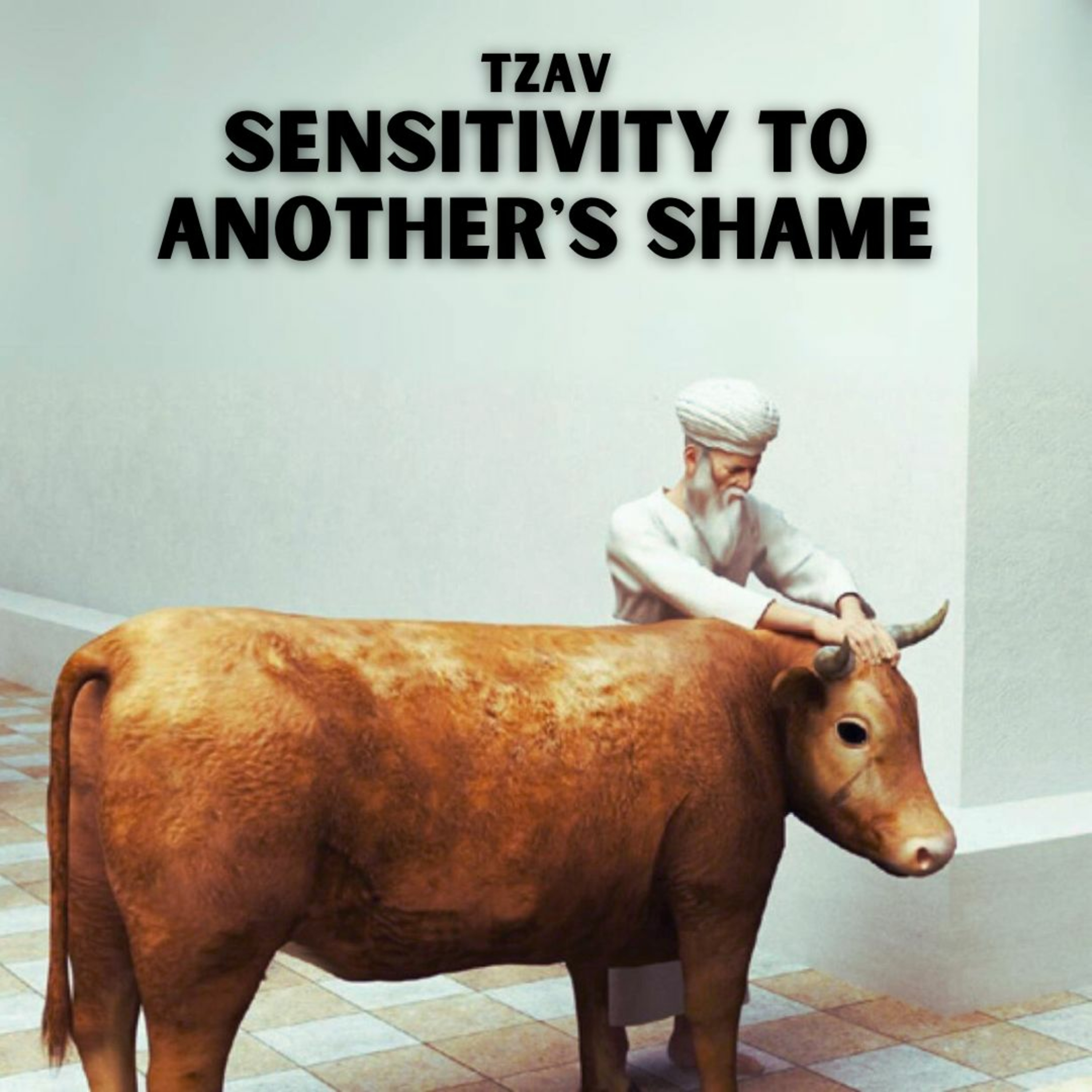 Tzav - Sensitivity To Another's Shame episode artwork