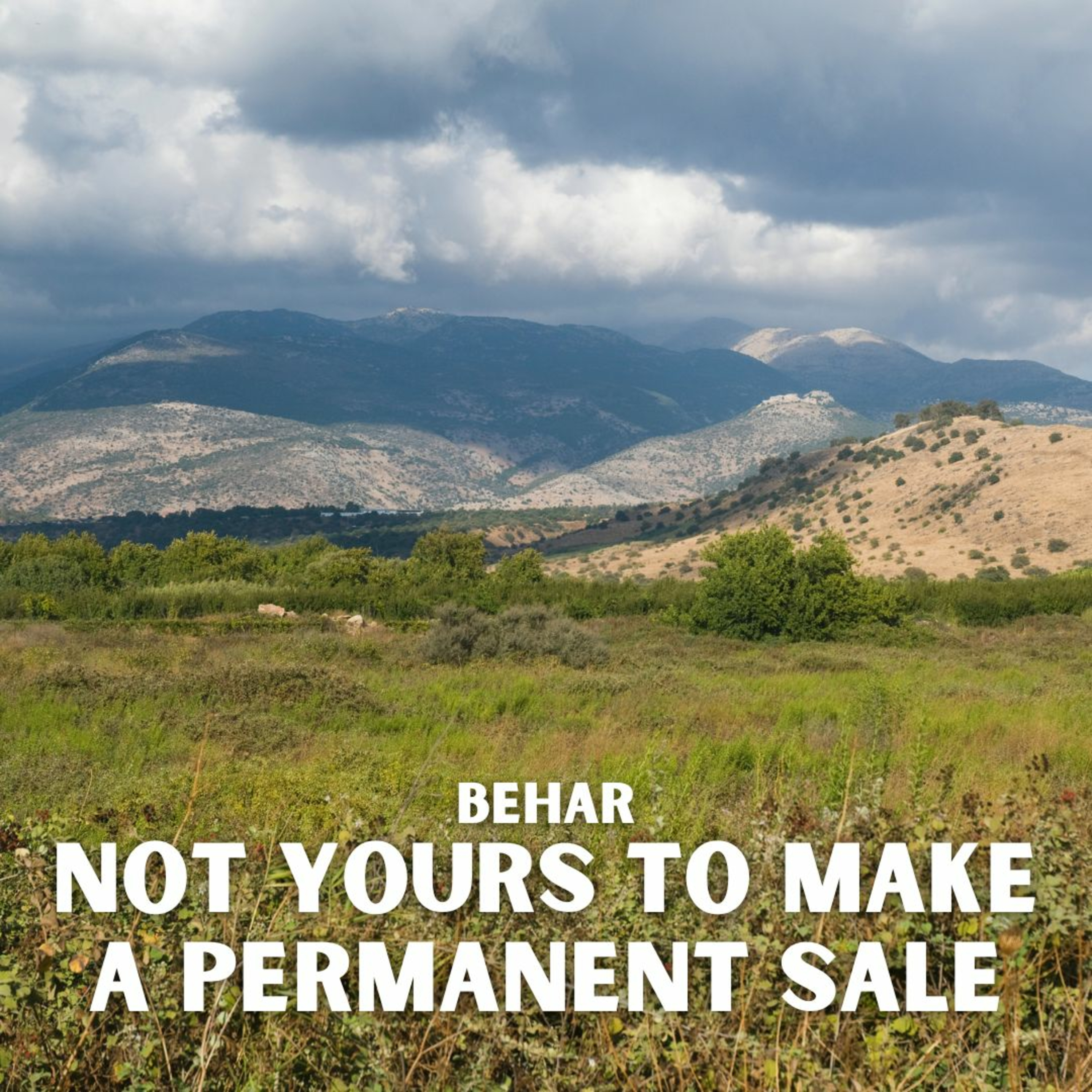 Behar - Not Yours To Make a Permanent Sale episode artwork