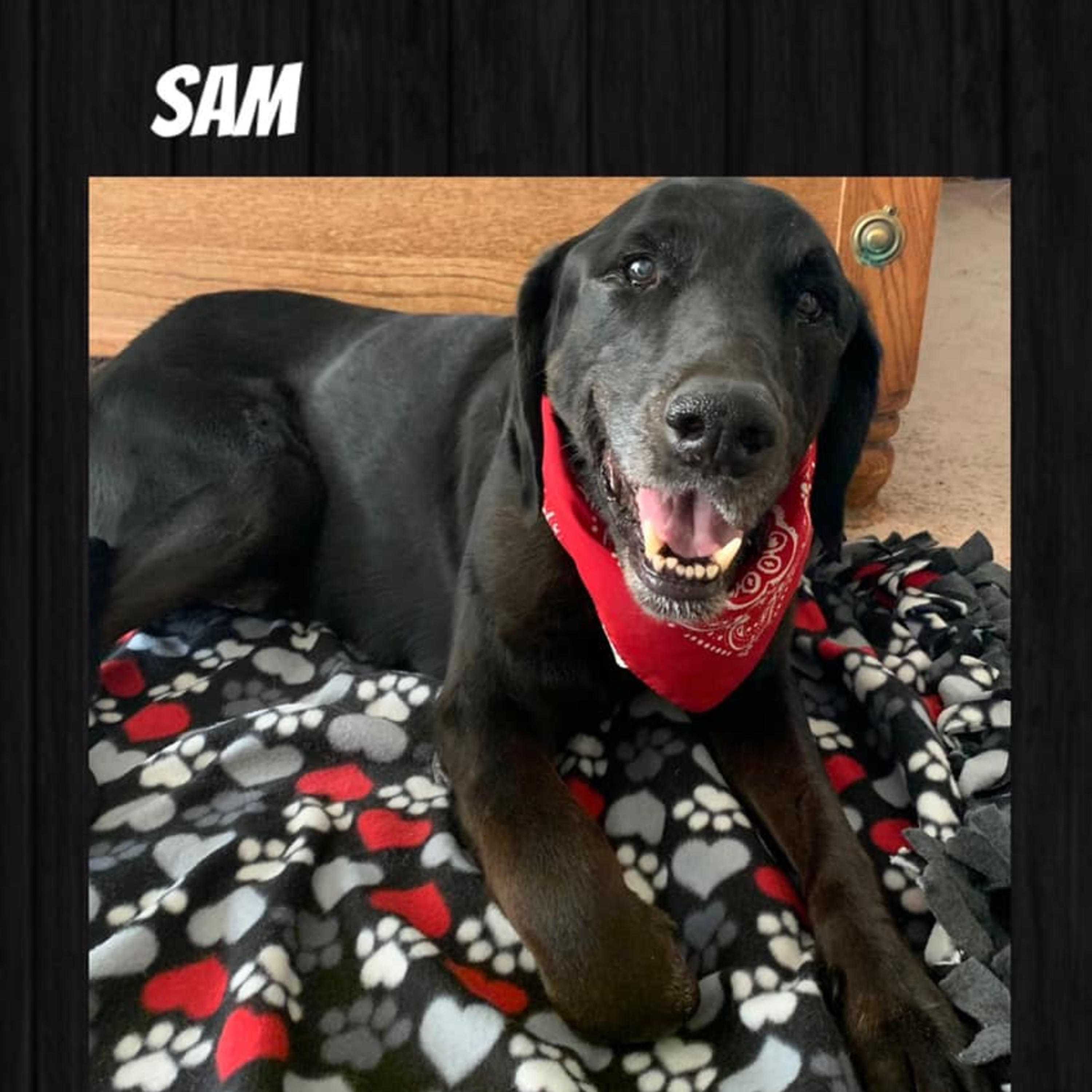 The Gil Contreras Program