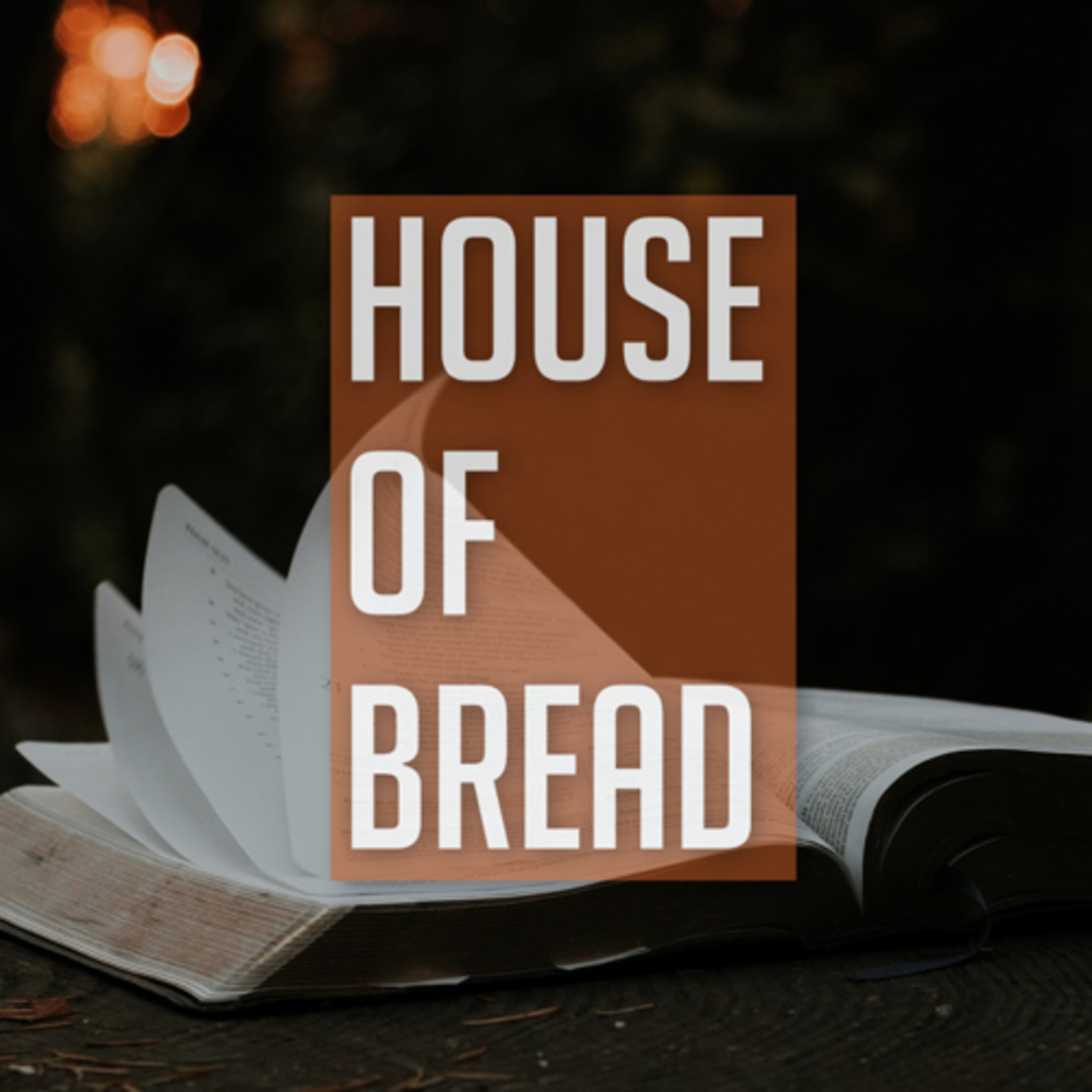 Daily Bread episode artwork