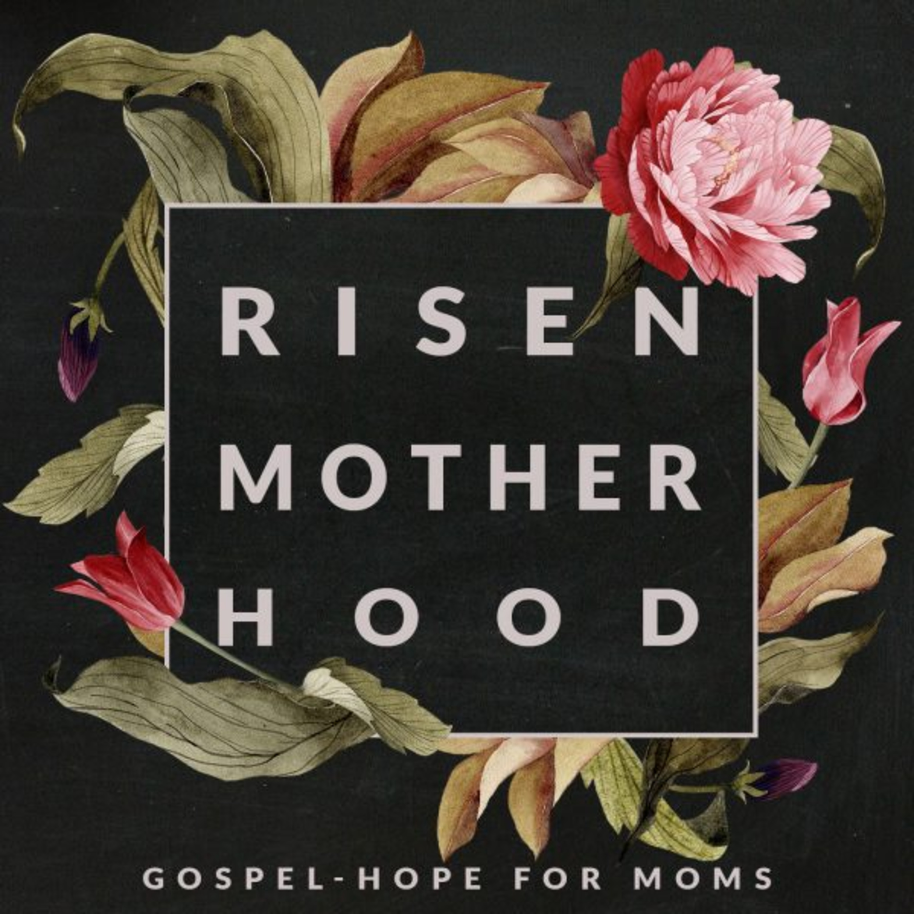 Christian Podcast Network Feed