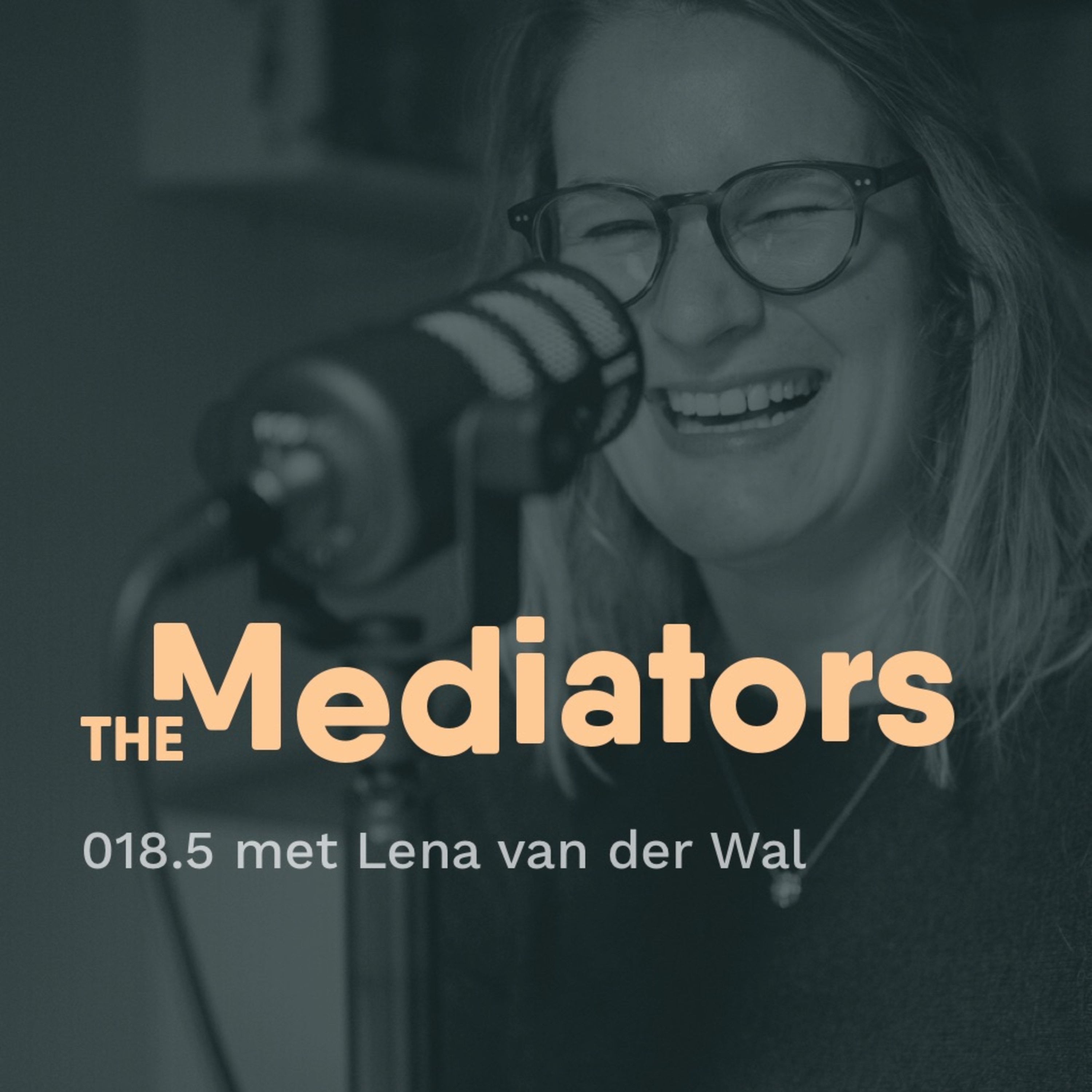 The Mediators