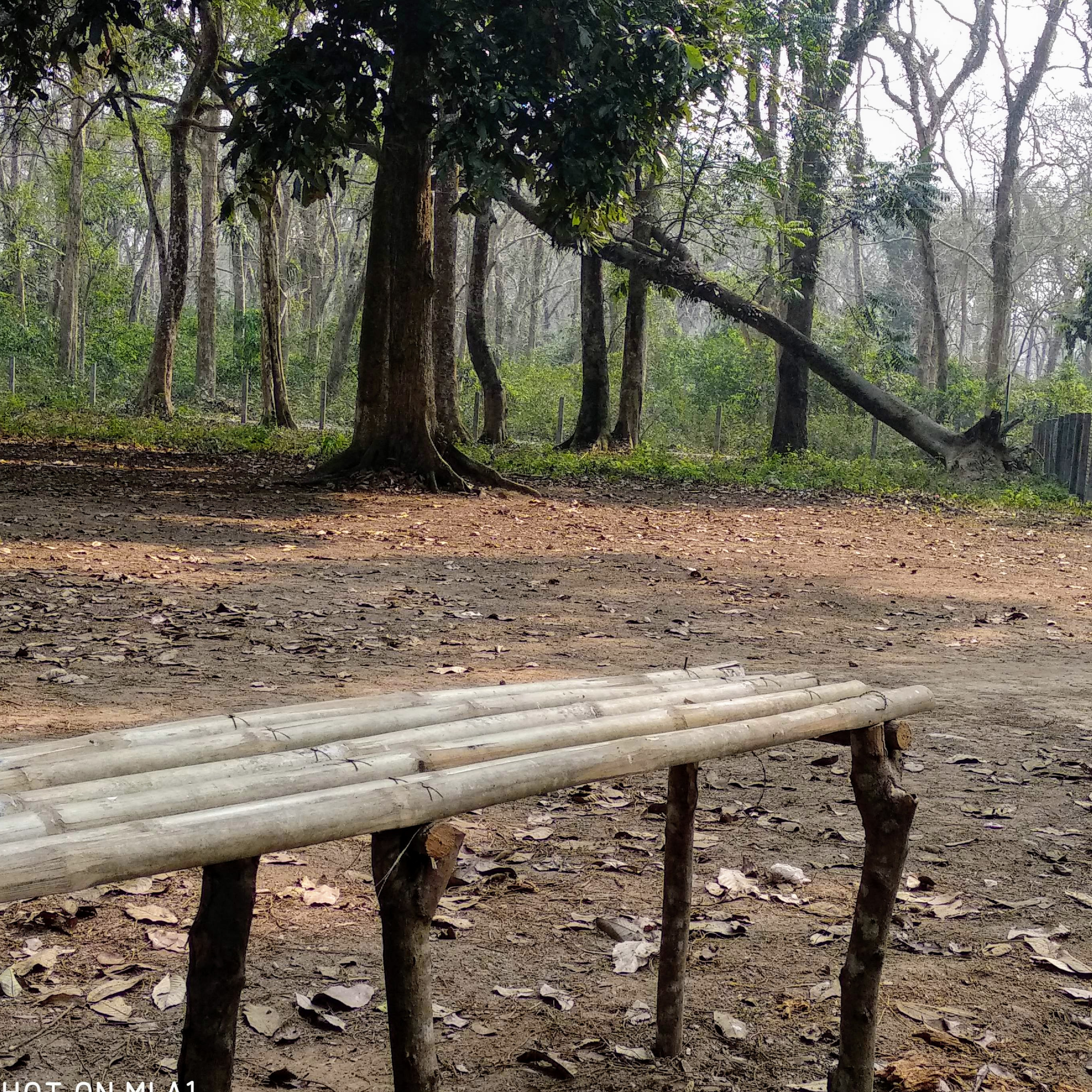 A backpacker’s Dooars getaway