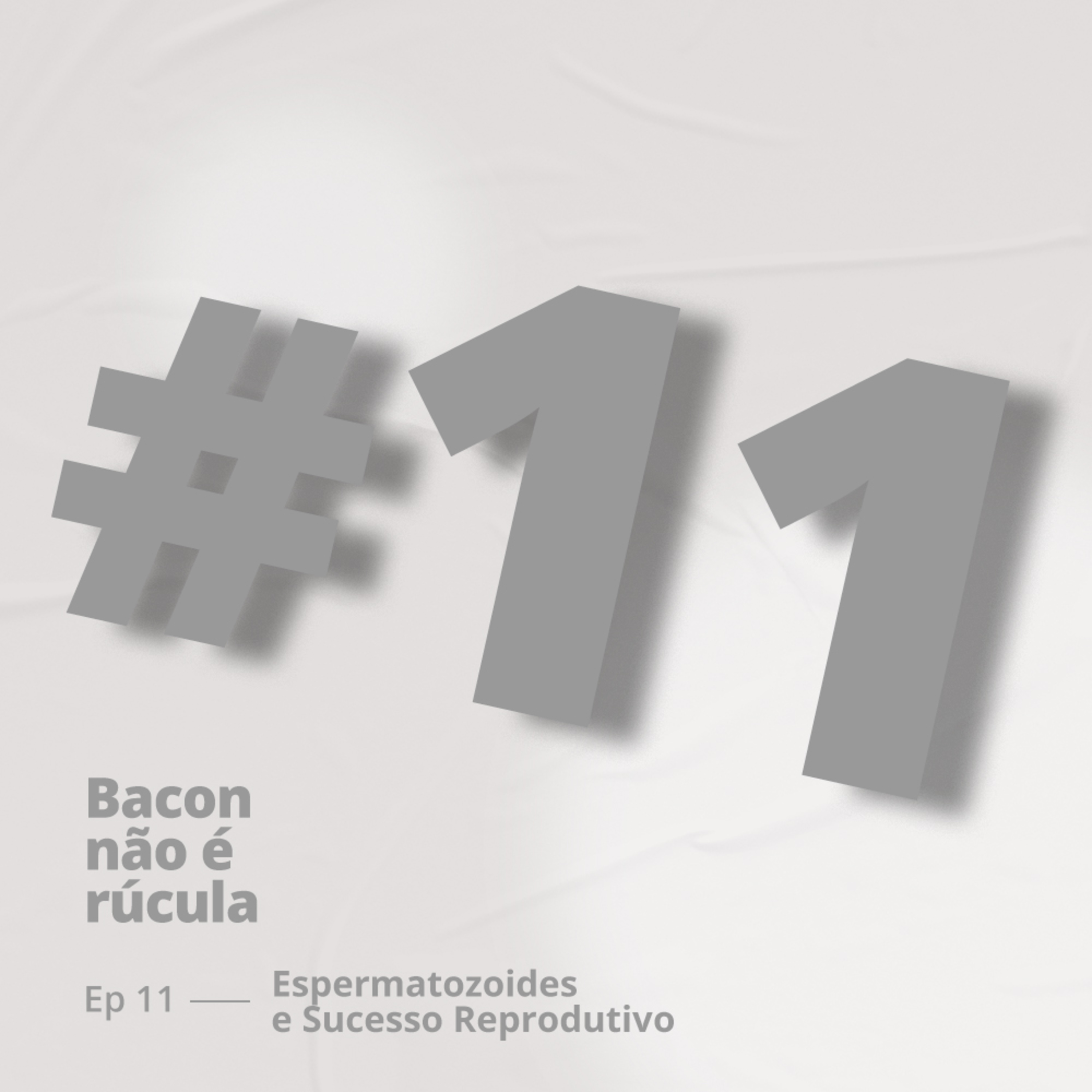 Bacon não é rúcula!