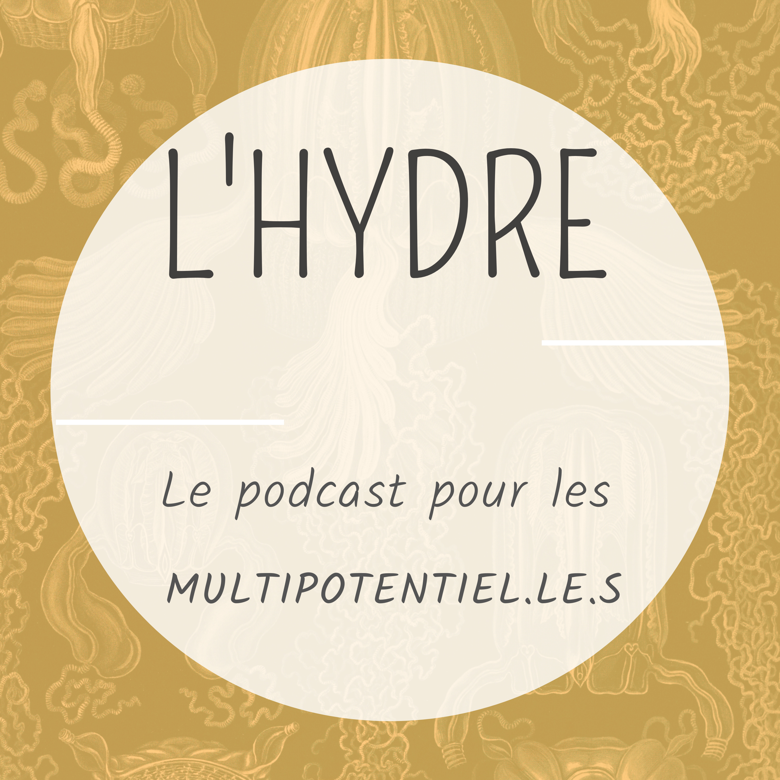L\'Hydre ou la multipotentialité assumée