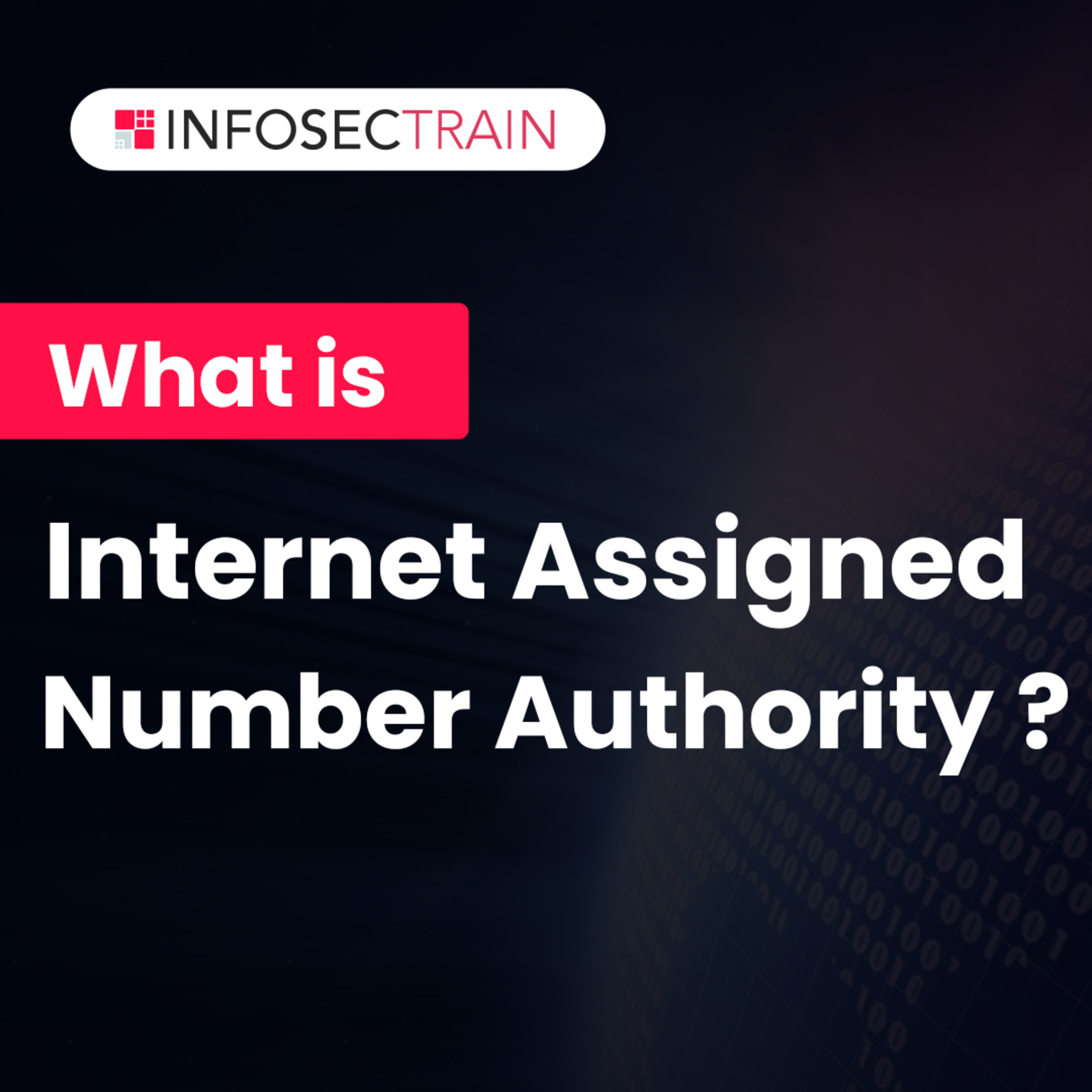 What is Internet Assigned Number Authority? | InfosecTrain episode artwork