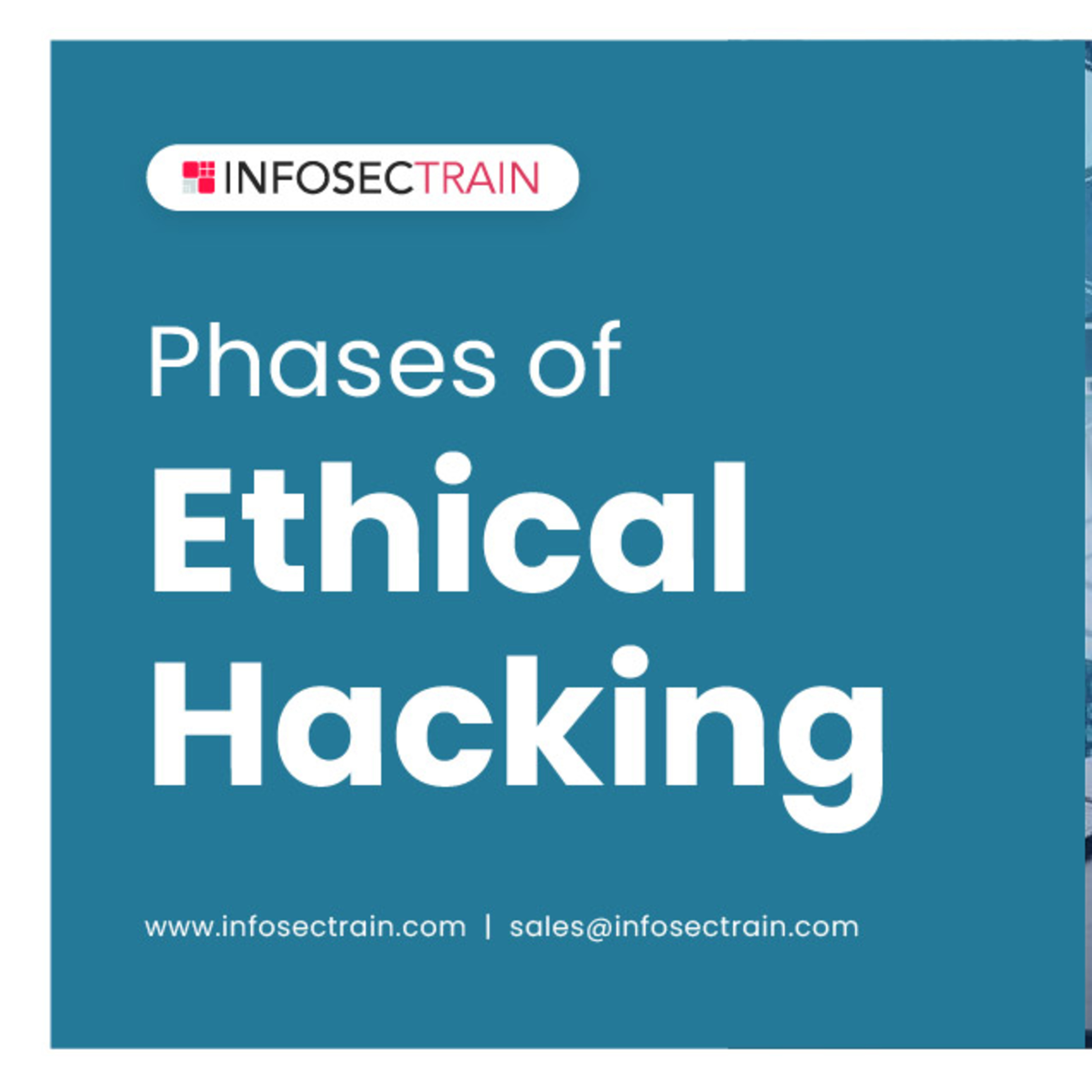 Phases of Ethical Hacking