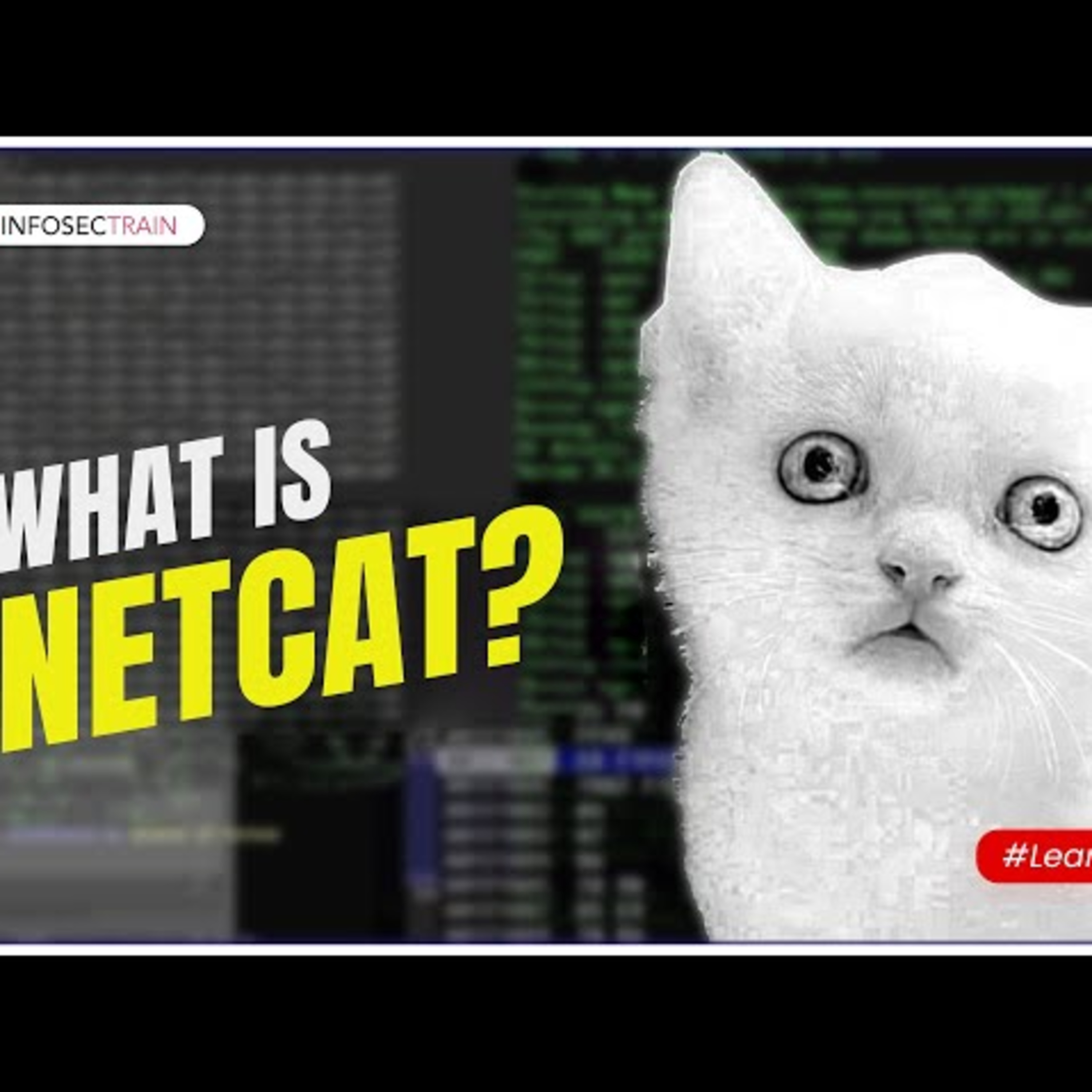 InfosecTrain