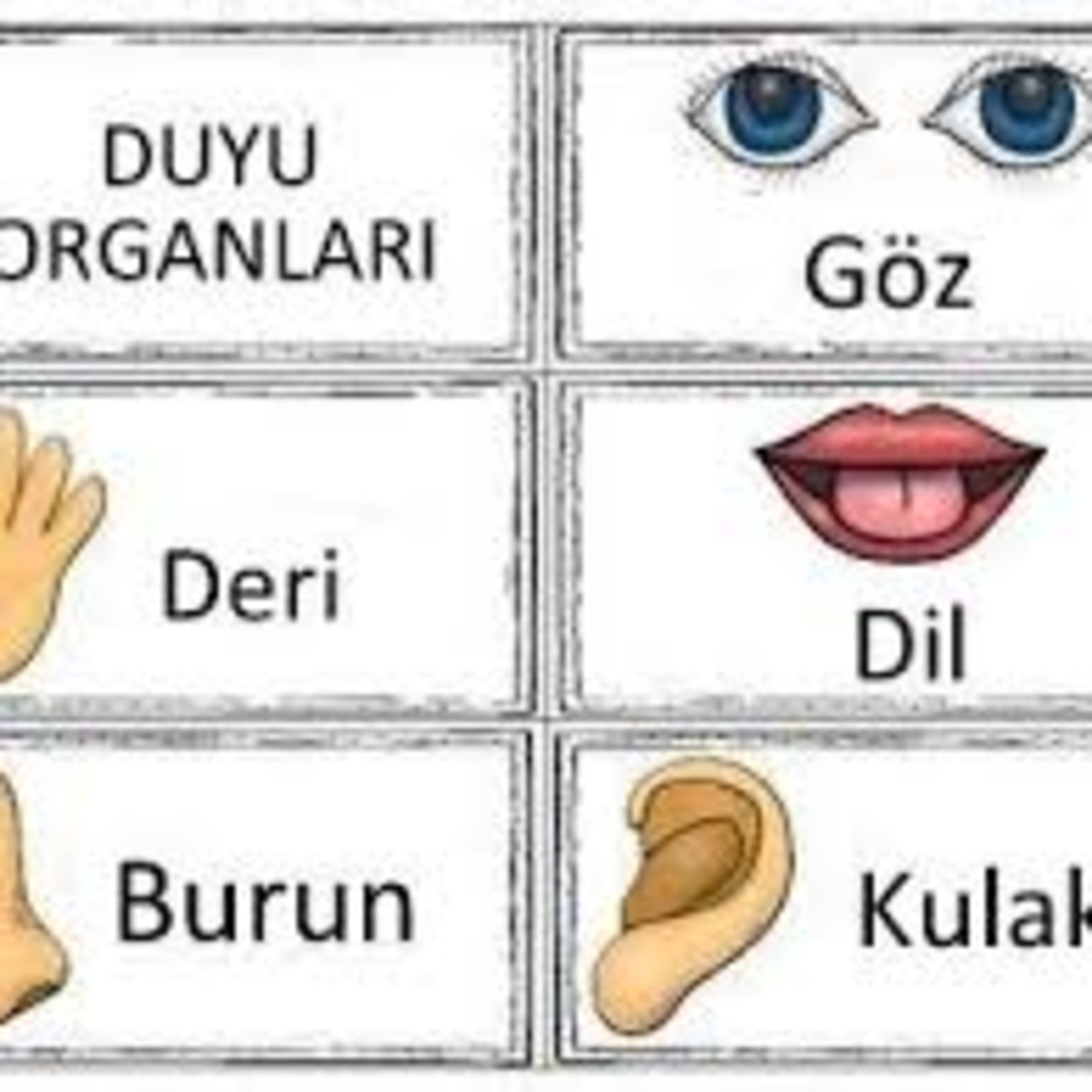 Hatice TUNÇ