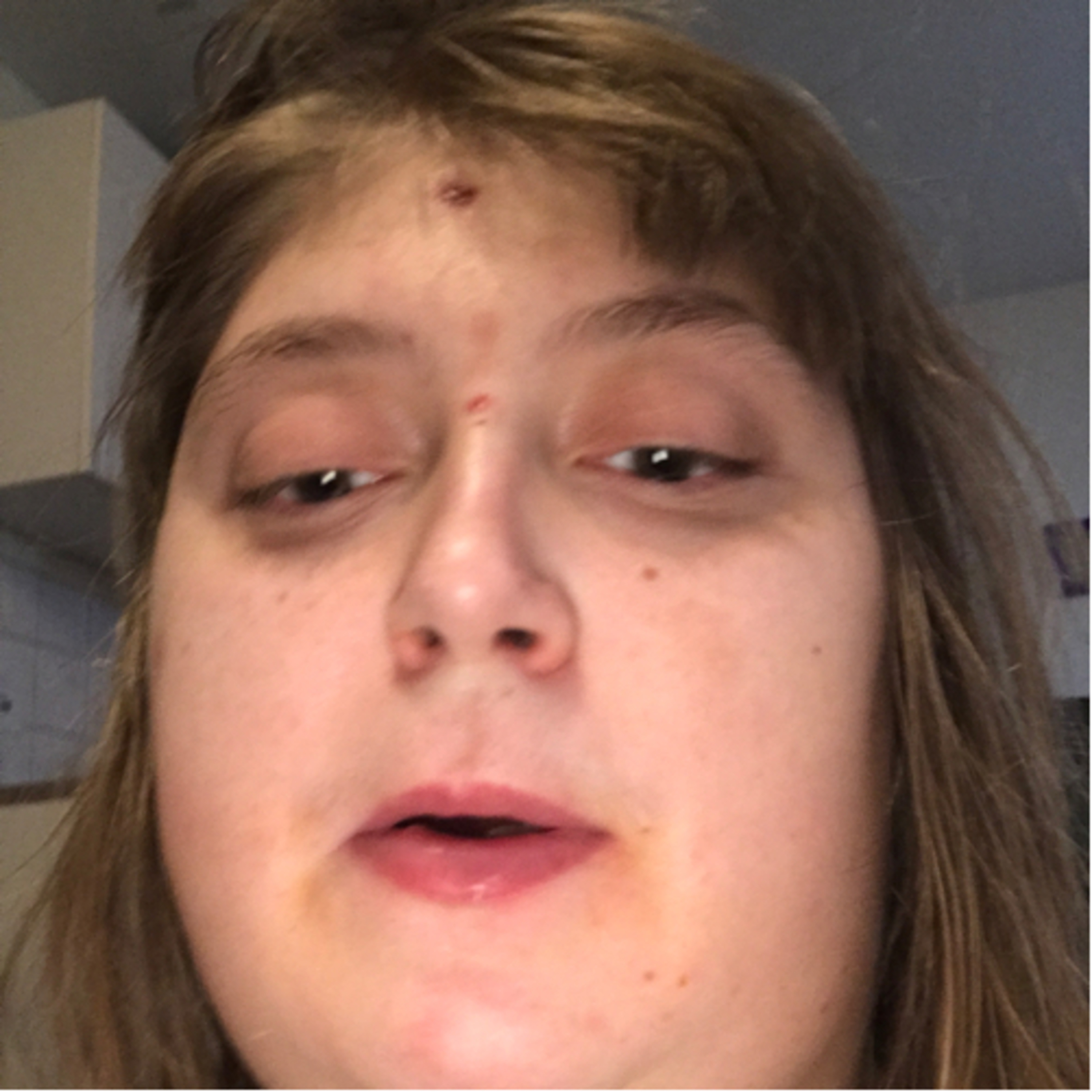 Snuspodden