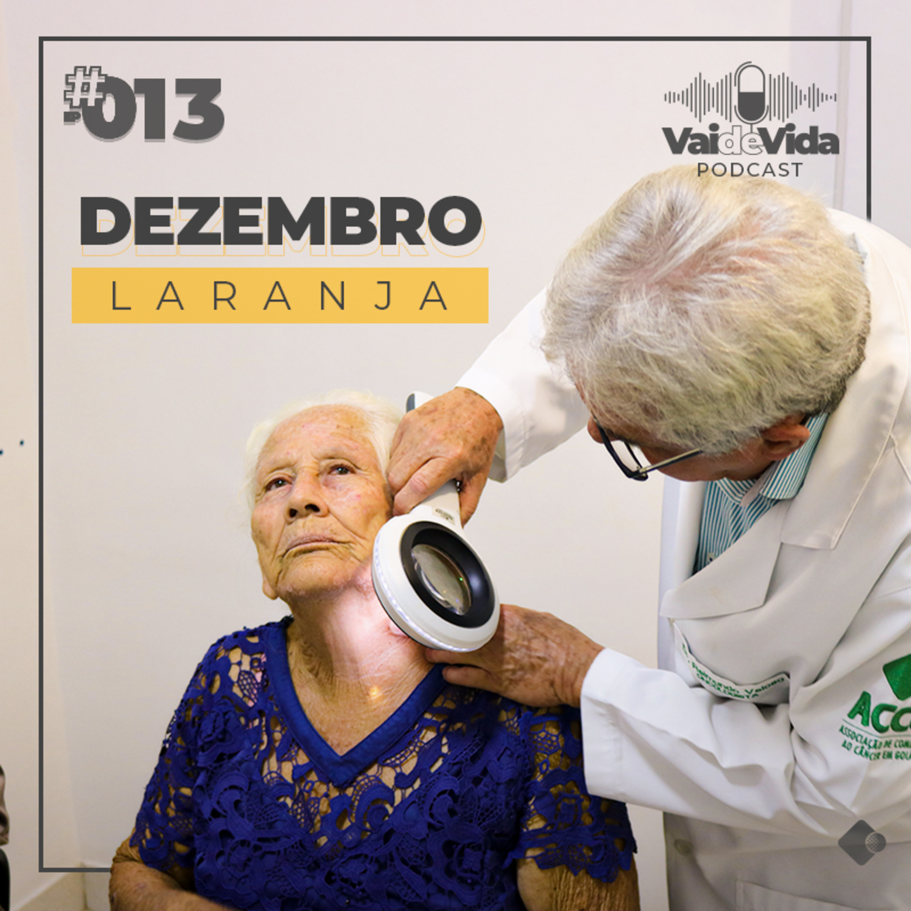 Vai de Vida