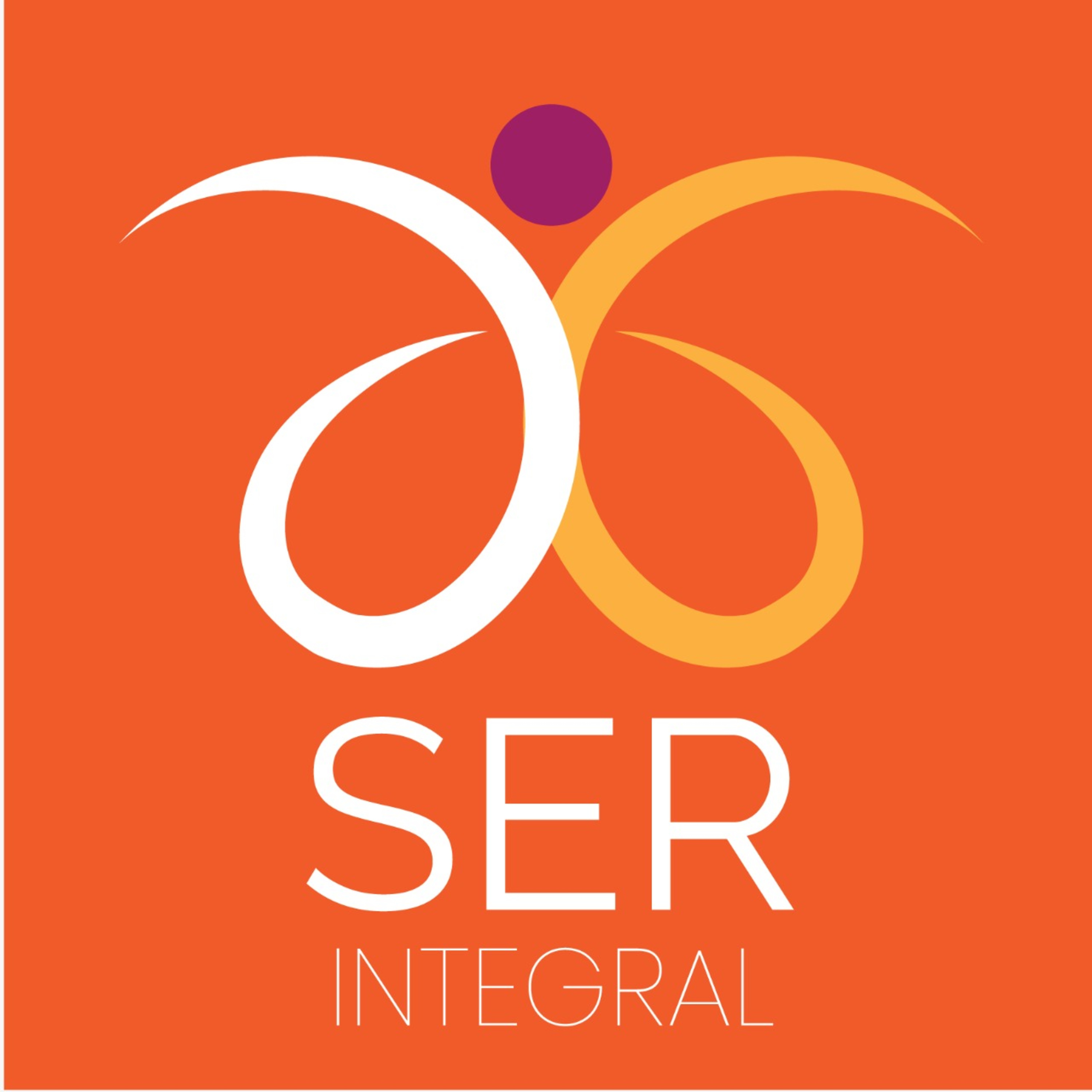 Deva Geeta apresenta o que é SER Integral  episode artwork