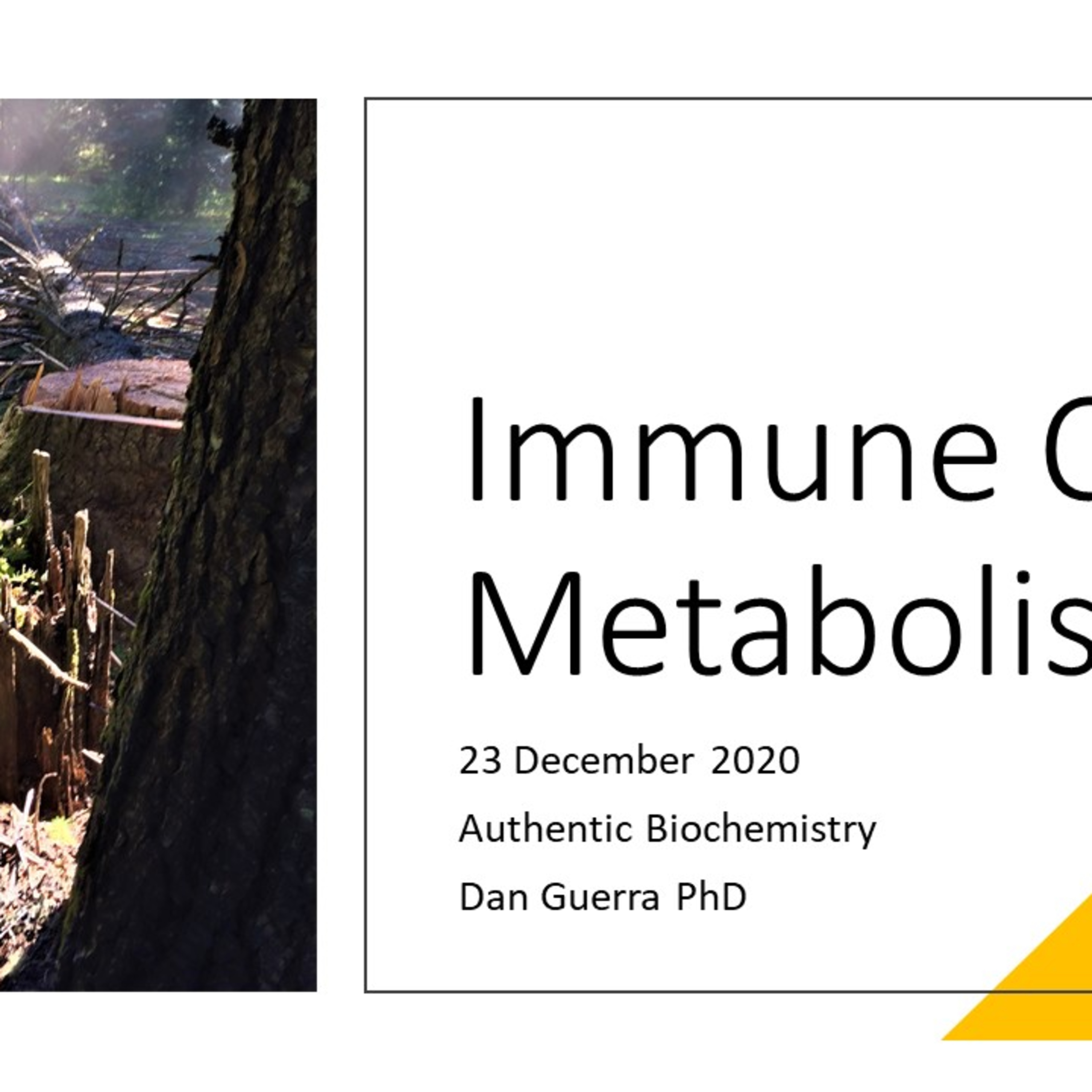 T Cell signal transduction involves kinase and transcription factor mediated expression of bioenergetic ensemble gene products. Dr DJ Guerra 23 December 2020