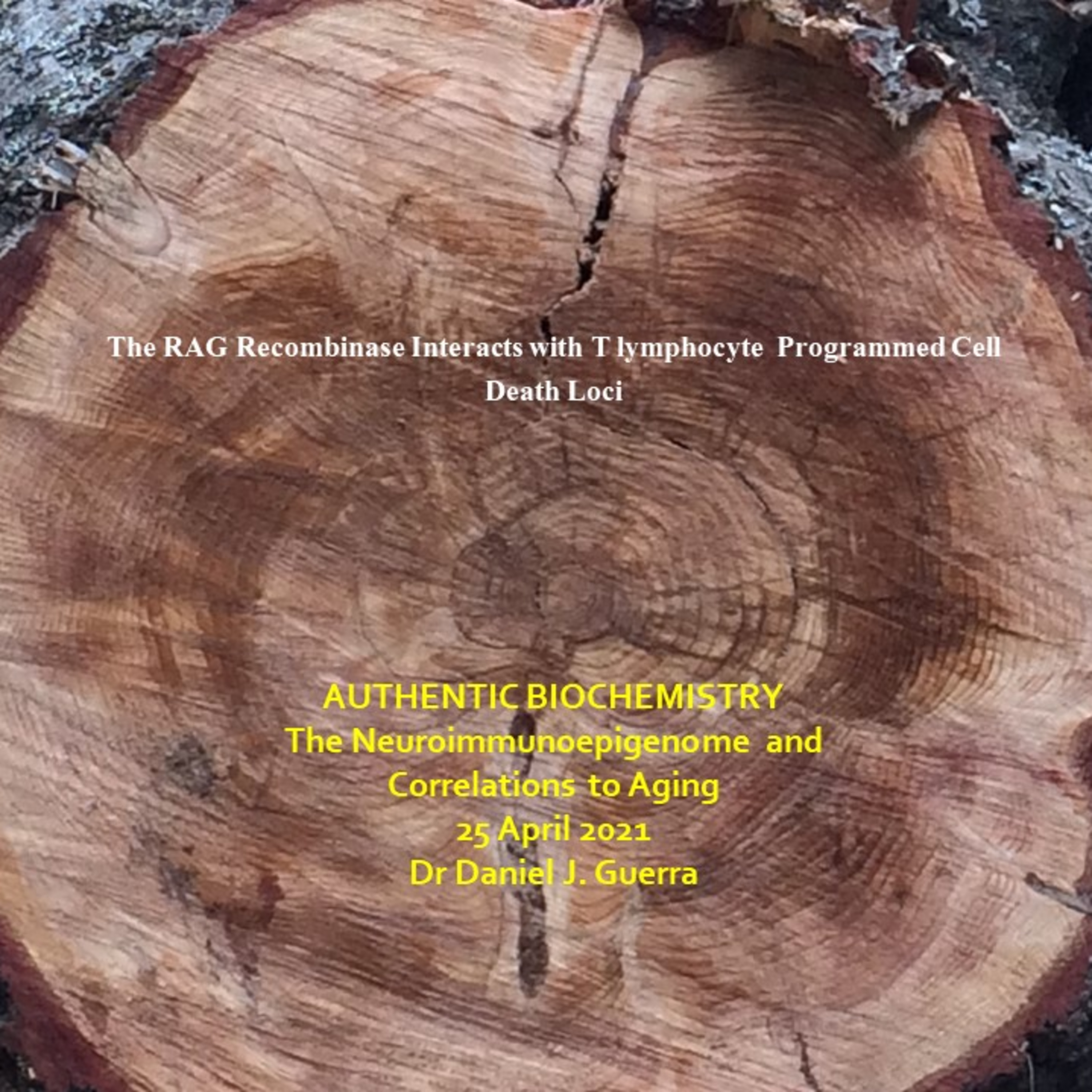 The RAG Recombinase Interacts with T lymphocyte Programmed Cell Death Loci. Dr Dan Guerra Authentic Biochemistry Podcast 26 April 2021