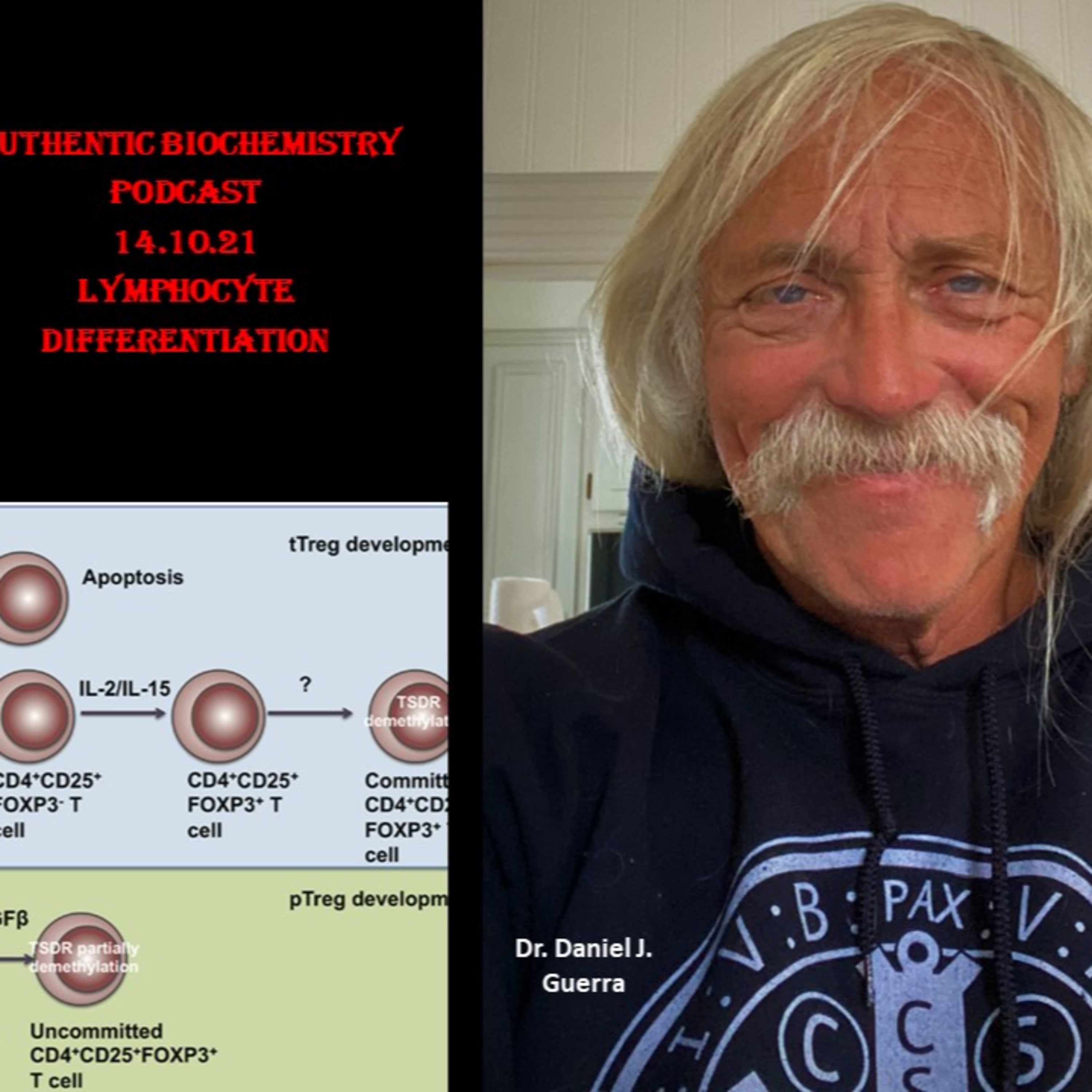 Lymphocyte maturation and the special Innate like Lymphocyte Subclass including Natural Killer and other ILC lineages. DJGPhD.14.10.21. Authentic Biochemistry