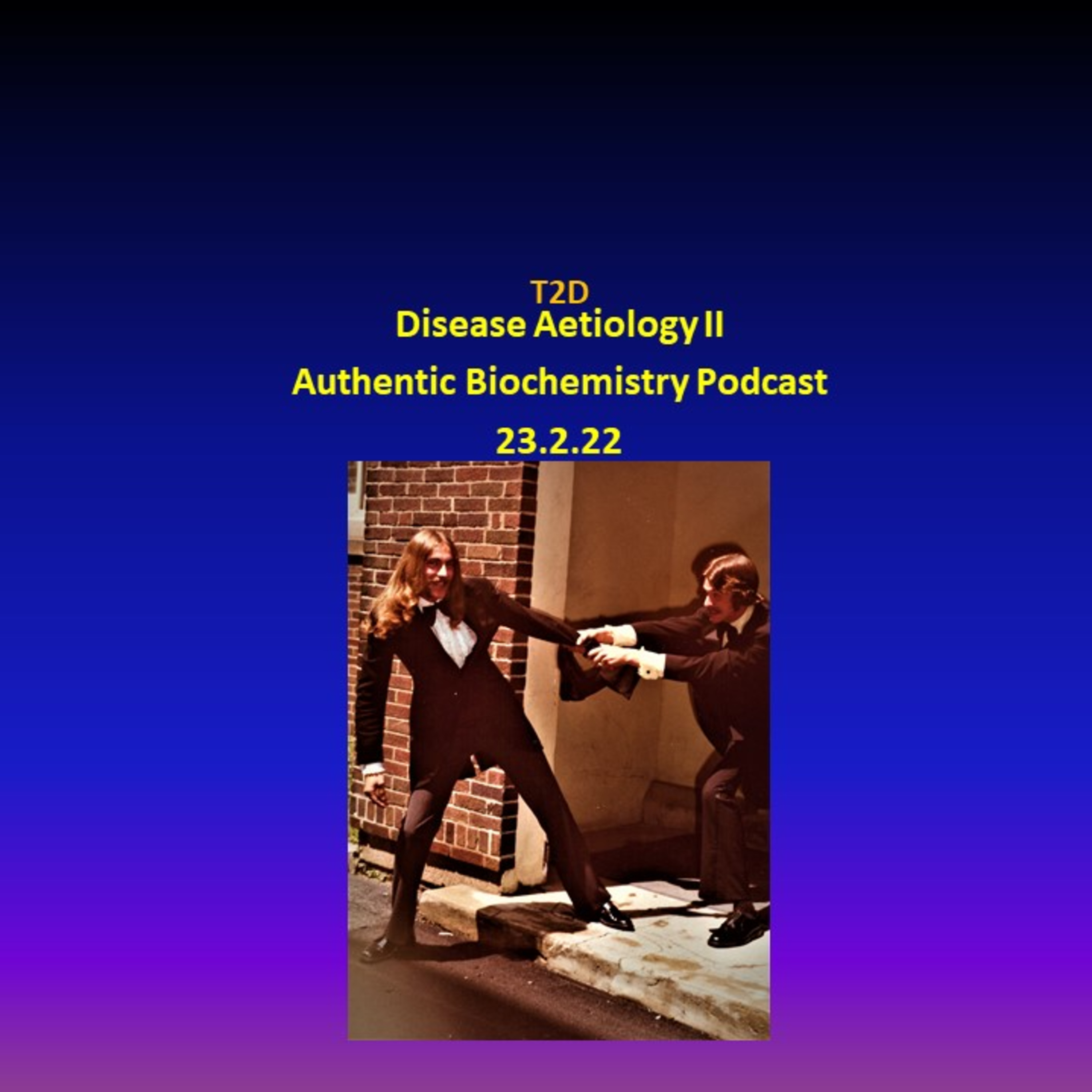Diabetes II. The Insulin resistance factor and glucose intoxication associated dyslipidaemia and introduction to diabetic nephropathy. DJGPhD. 23.2.22. Authentic Biochemistry Podcast.