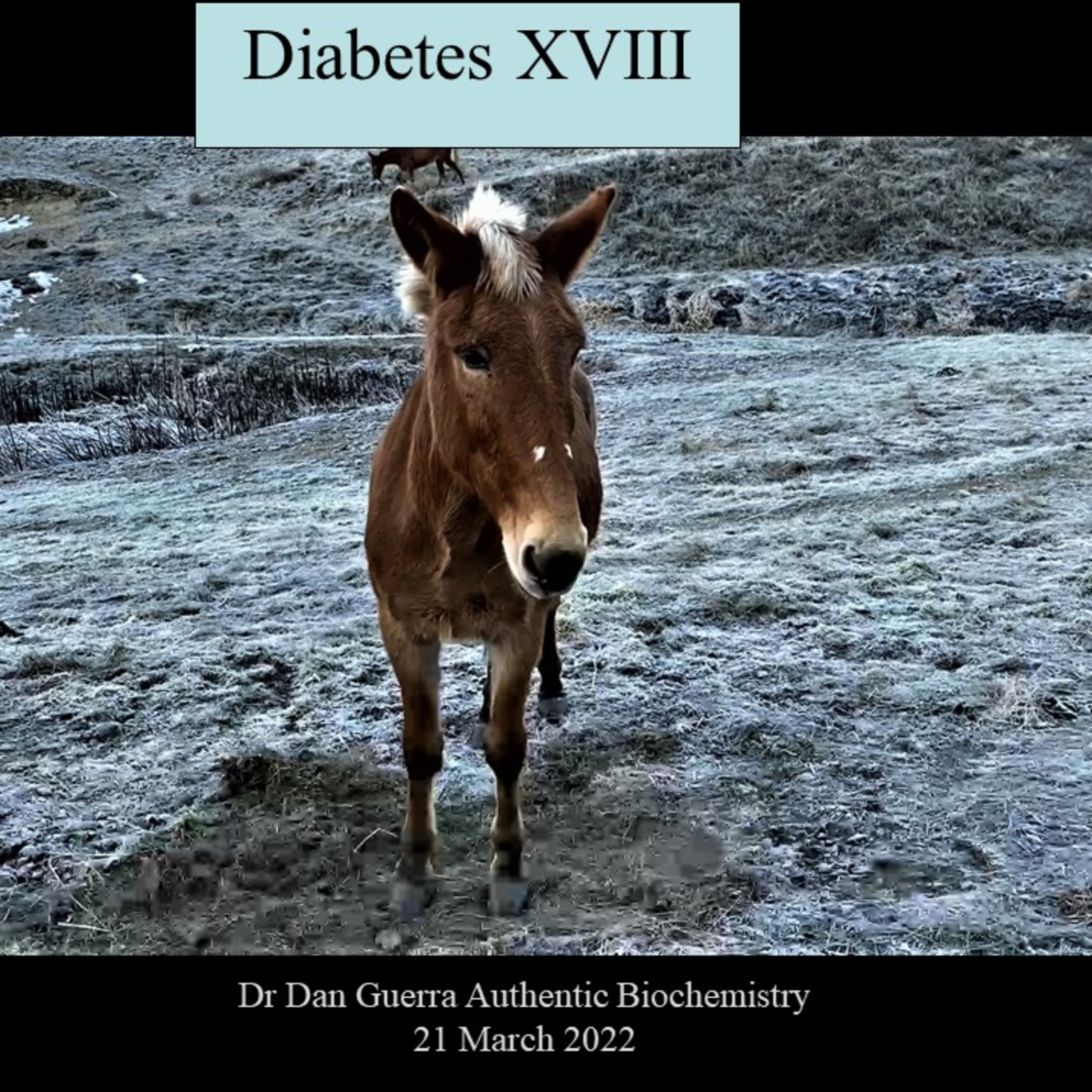 Diabetes XVIII. Myokine mediated muscle mass signaling is corrupted by obesity linked Type 2 diabetes via massive inflammation and dyslipidaemia.DJGPhD. 21.3.22. Authentic Biochemistry