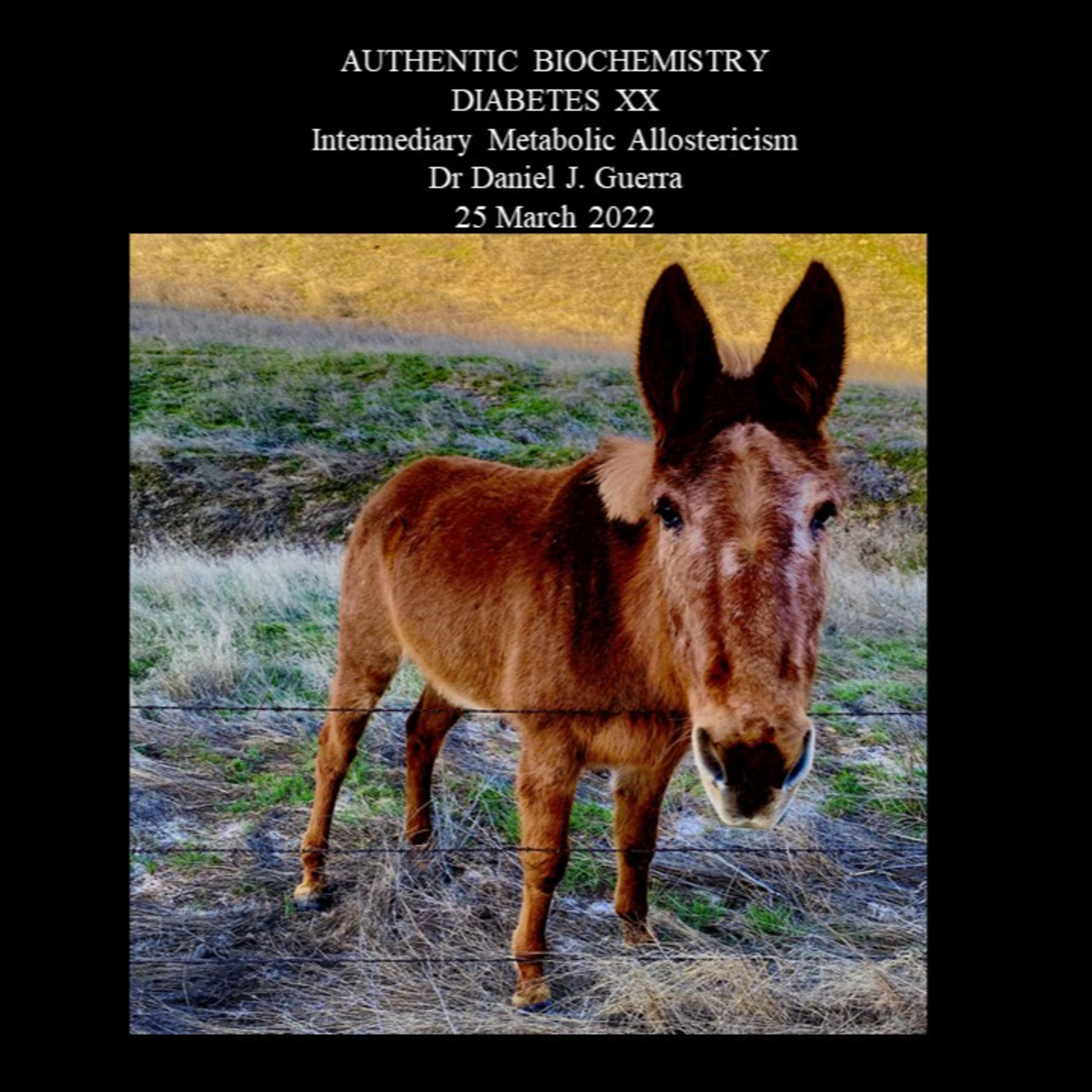 Diabetes XX. Intermediary metabolic allosteric regulation in the Myocardial Infarcted heart reveals HF aetiology from obesity-linked Type 2 Diabetes. DJGPhD.25.3.22. Authentic Biochemistry Production