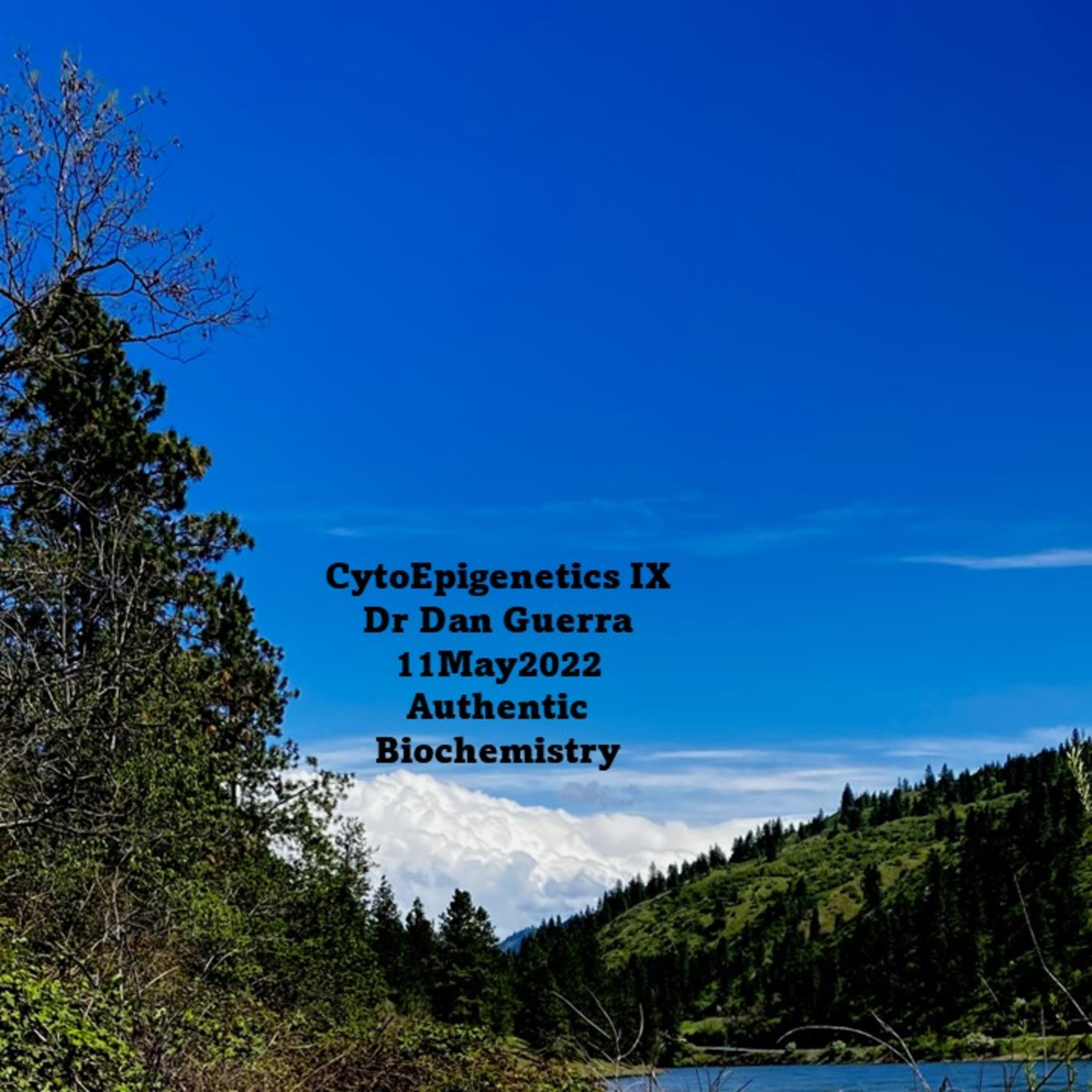 Cytoepigenetics IX. c-MYC controls transcription of two dehydrogenases that alter the ratio of 2-HG/alphaKG thus controling epigenetic signatures on DNA and RNA in a cancer mouse model.DJGPhD.11May22
