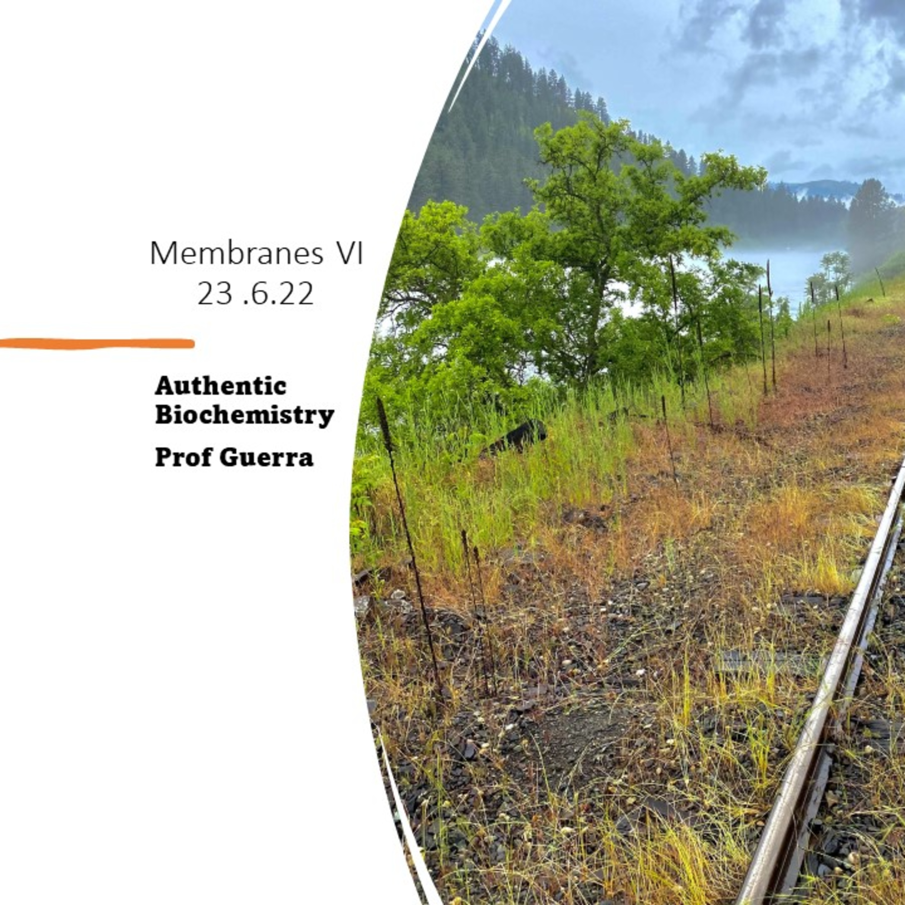 Membrane Biochemistry VI. The involvement of membrane lipid omega 3 fatty acids in LTP and memory acquisition. Part 1. Dr Guerra. 23.6.22. Authentic Biochemistry