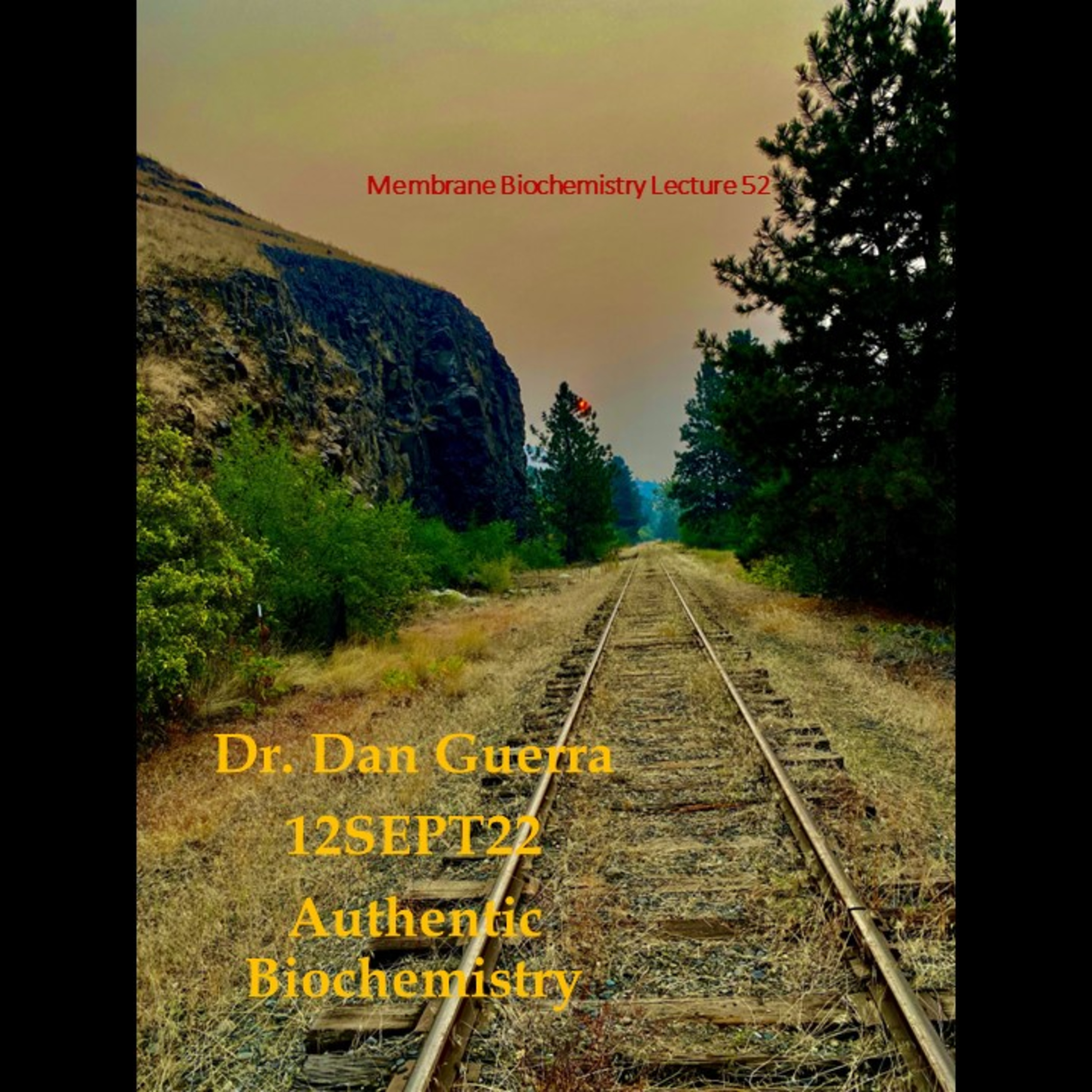 Membrane Biochemistry 52. Epigenetic modifications in pathophysiology and the synthesis of nascent membrane lipid in cell cycle progression. DJGPhD.12Sept22. AUthentic Biochemistry